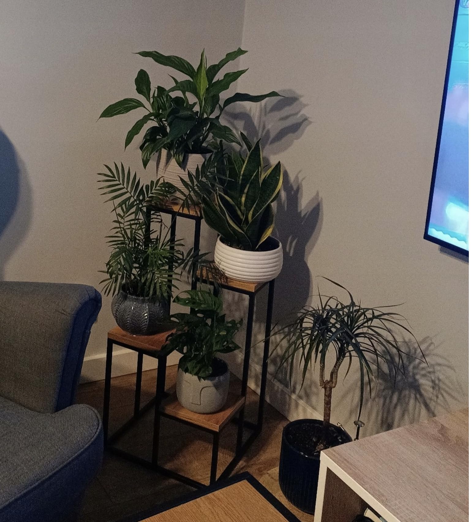 Stojak na rośliny Piccolo Slim - Kwietnik 4 poziomy - 34x34x67cm - kolor Czarny - do kwiatów w pomieszczeniach - metalowa półka - stolik dekoracyjny - stojak na kwiaty - do rogu pokoju