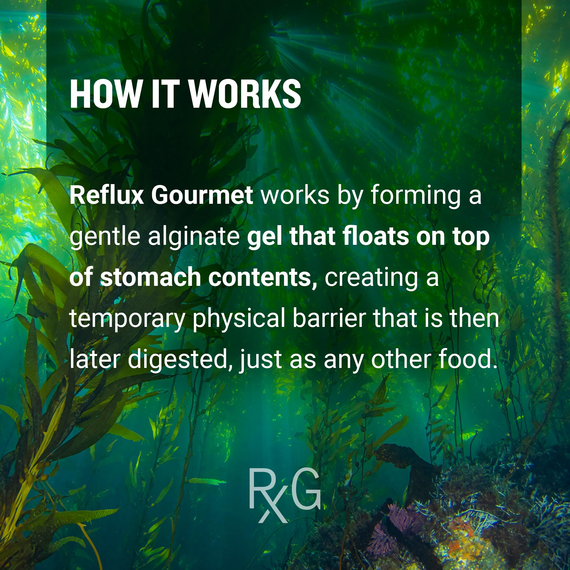 REFLUX GOURMET Vanilla Caramel Rescue – Alginate Complex – Digestive Support Formula, Made with Natural Ingredients – 8 Fl. Oz — Amazon image 7