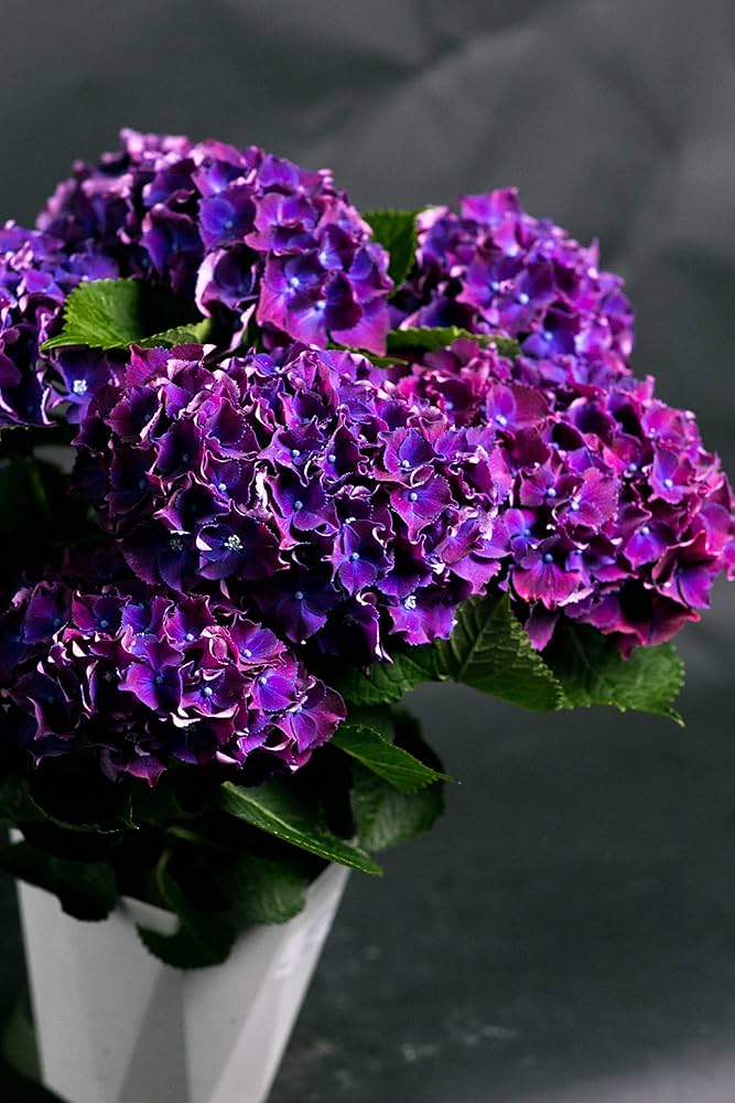 紫系アジサイ・バラの造花アレンジメント 紫系アジサイ・バラの造花アレンジメント 楽天市場】造花 シック