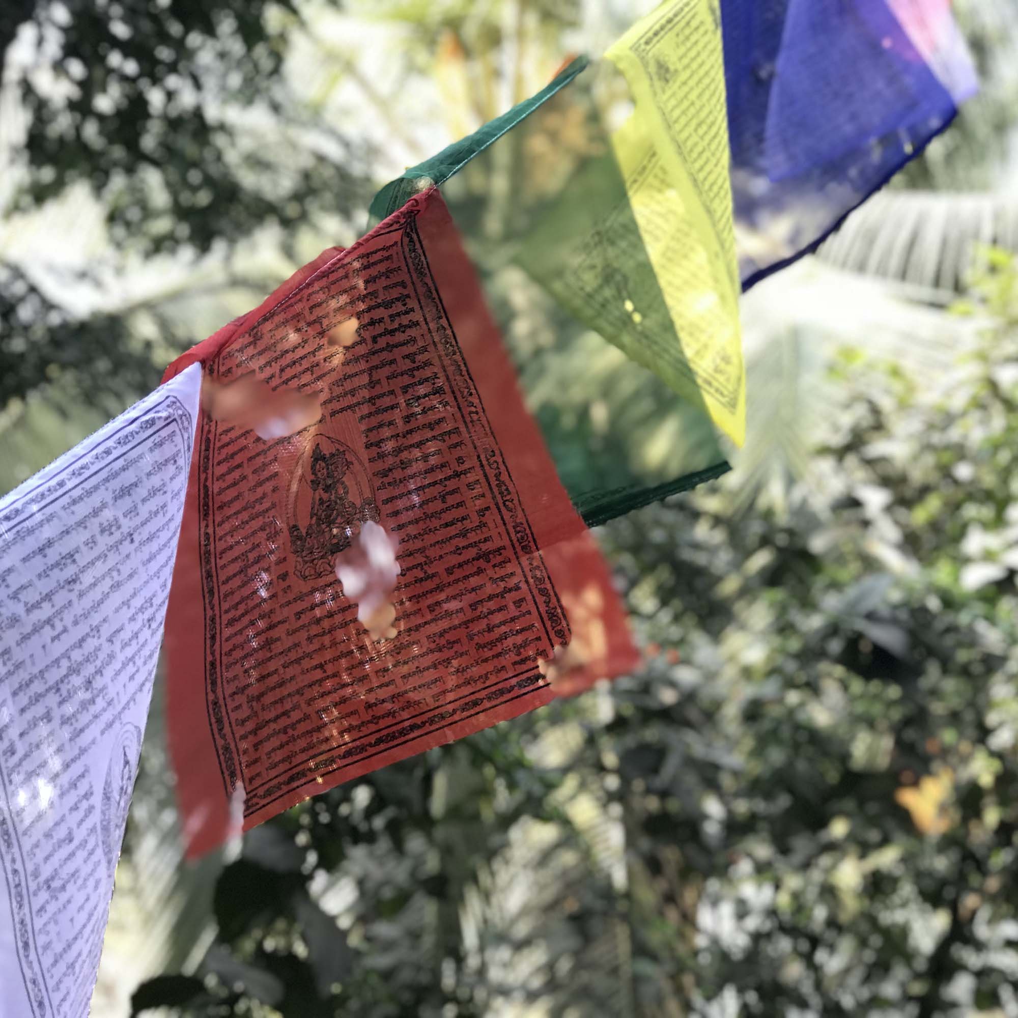 See full amazon price history chart for Atrangi.org Tibetan Prayer Flag (XXL/975 cm) 1 Roll Atrangi.org Tibetan Prayer Flag (XXL/975 cm) 1 Roll (B07B7PP18C) Amazon Price History, Amazon Price Tracker