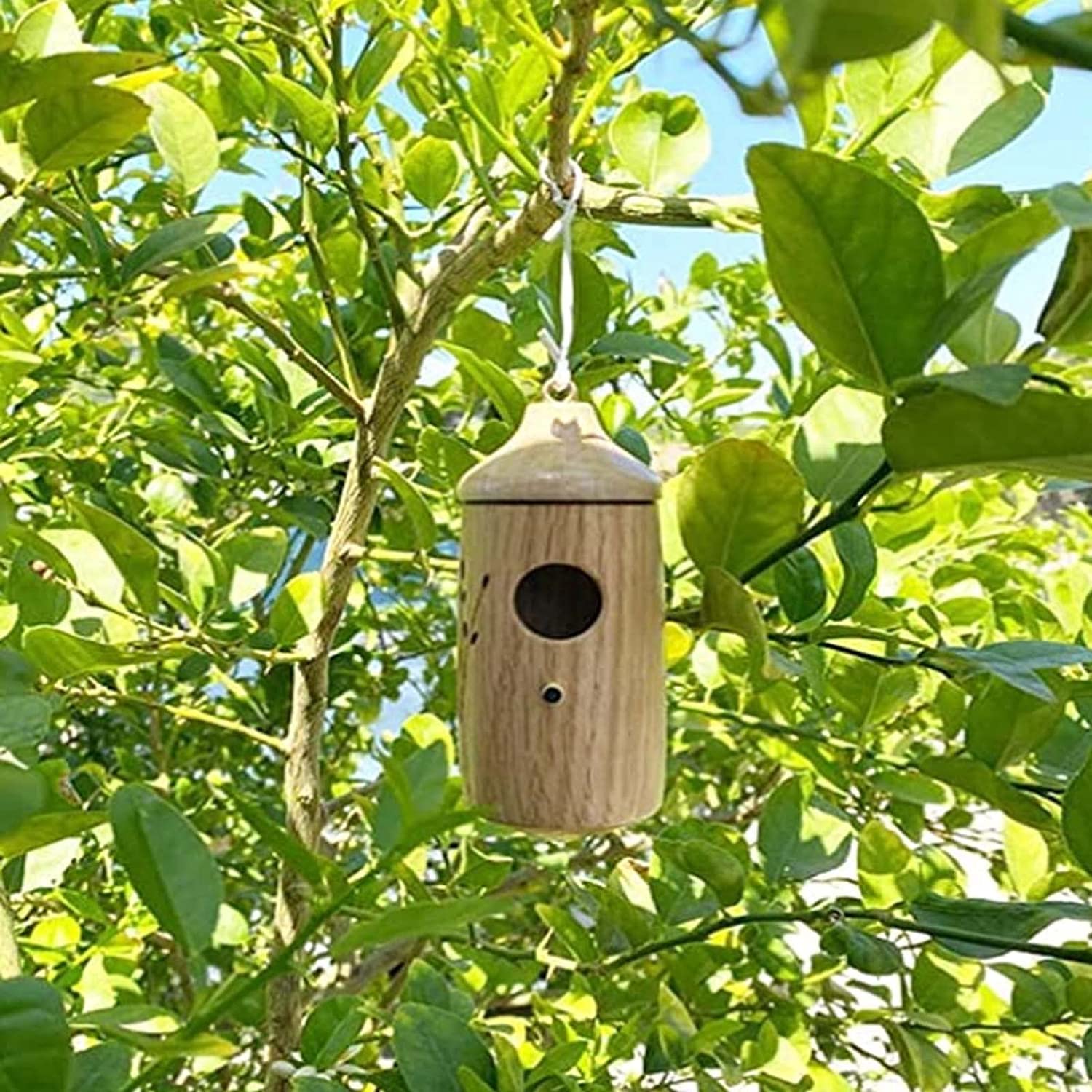 3x Kolibri-Haus Aus Naturholz – Wetterfest, Mit Abflussloch, Perfekt Für Garten & Balkon