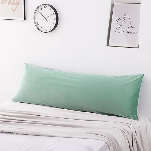 Miniatura 20 de TELUS 2 Pack Zippered Velvet Standard Pillowcases, Super Soft and Cozy Luxury Fuzzy Flannel Pillow Cases with Zipper, 20x26 Inches, Light Blue