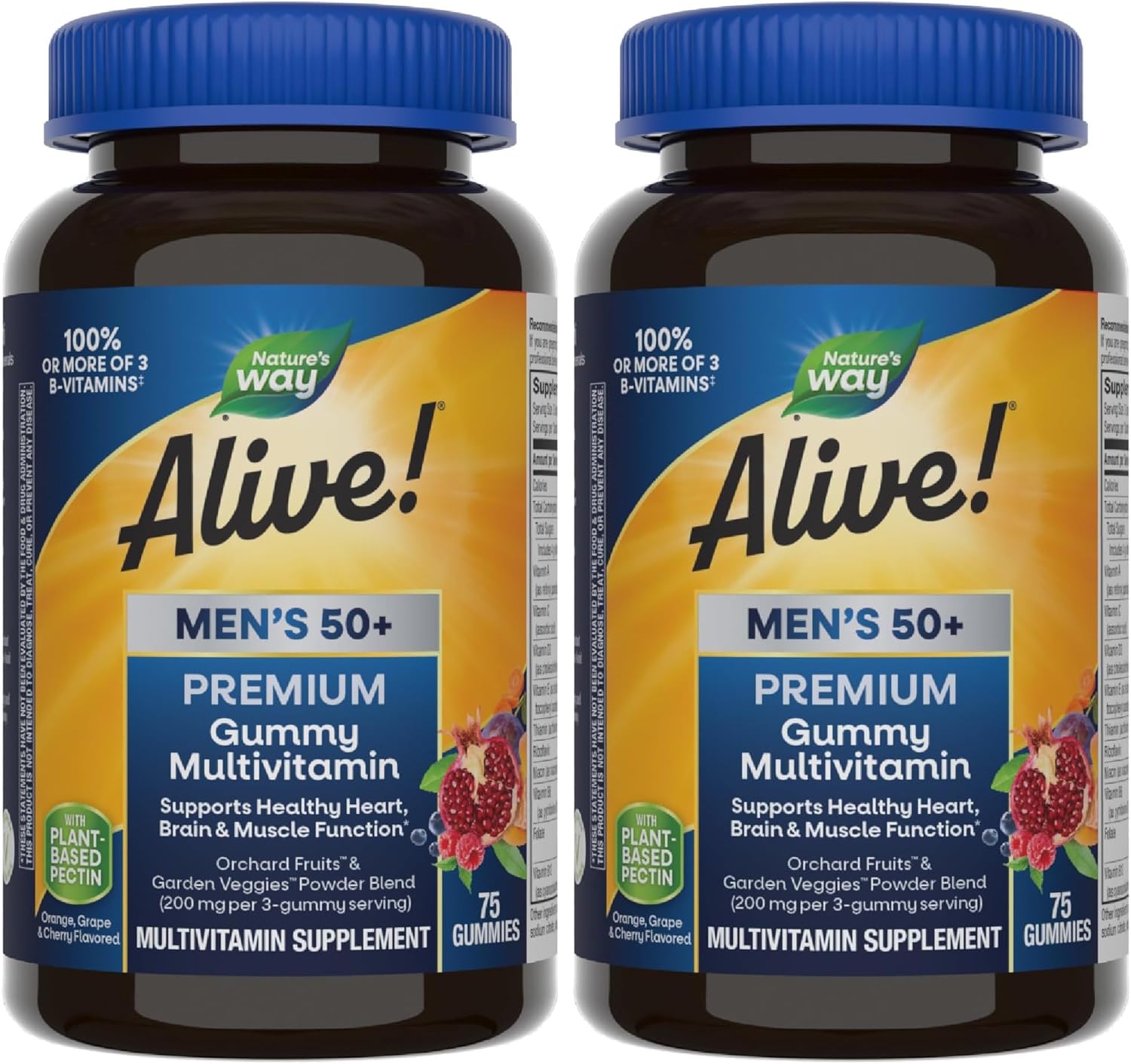 Nature's Way Alive! Men’s 50+ Premium Gummy Multivitamin, Supports Healthy Heart, Brain & Muscle Function*, B-Vitamins, Vegetarian, Grape, Orange and Cherry Flavored, 75 Gummies, (Pack of 2)