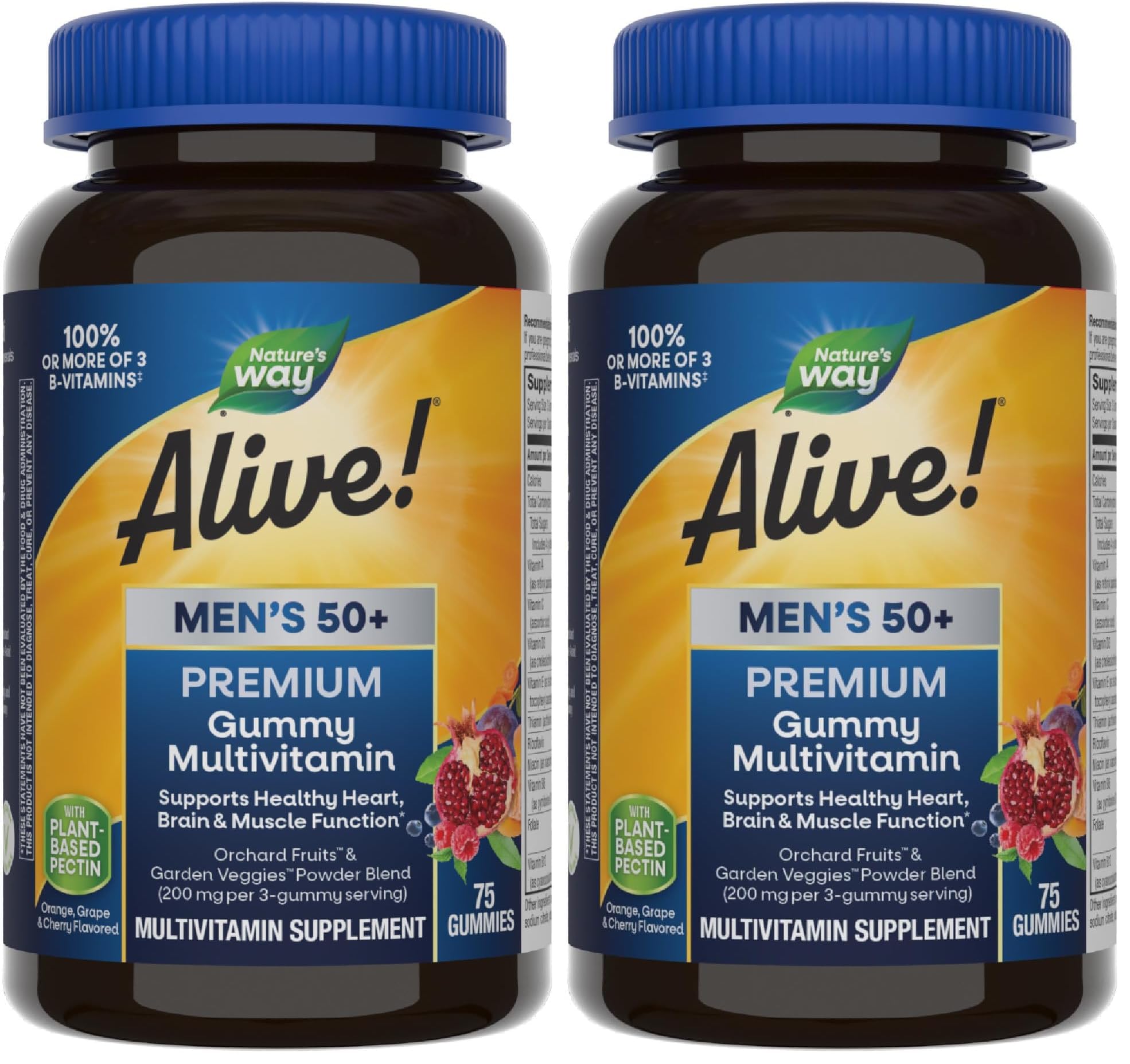 Nature's Way Alive! Men’s 50+ Premium Gummy Multivitamin, Supports Healthy Heart, Brain & Muscle Function*, B-Vitamins, Vegetarian, Grape, Orange and Cherry Flavored, 75 Gummies, (Pack of 2) 75 Count (Pack of 2)