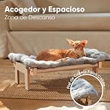 Ver la foto 3
