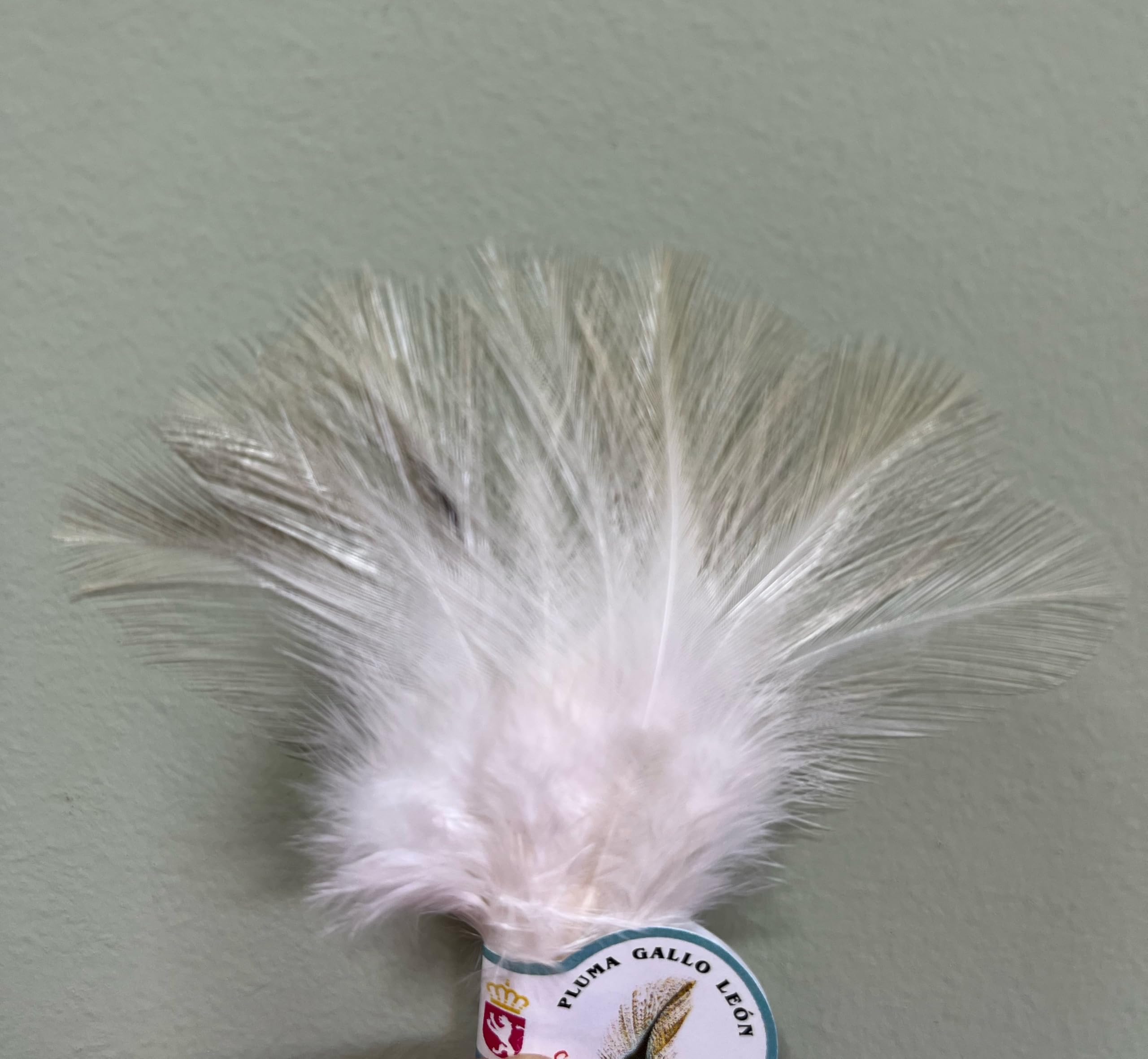 Pluma Gallo DE Leon/Lion Rooster FEATER para EL Atado DE Moscas,NINFAS Y PERDIGONES para LA Pesca A Mosca
