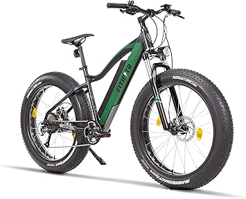 Bicicleta eléctrica fitifito Helsinki 26 Pulgadas E-Bike,36v ...