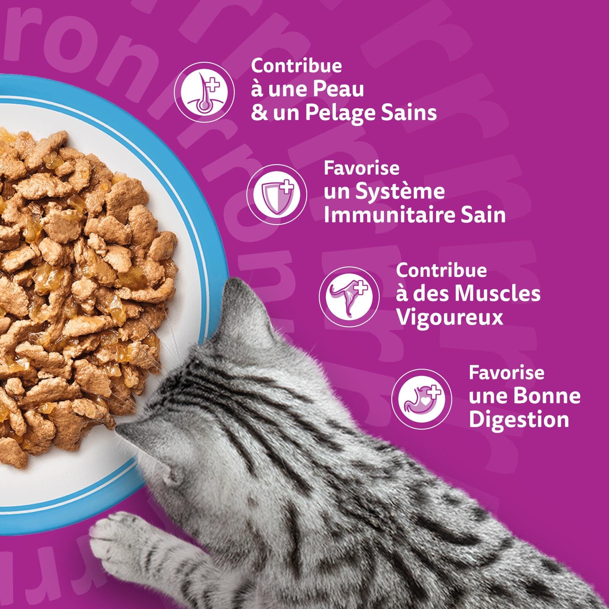 WHISKAS Aliment humide en gelée Chat adulte 24x85g Les Poissons Favoris (Lot de 2) 48 Sachets