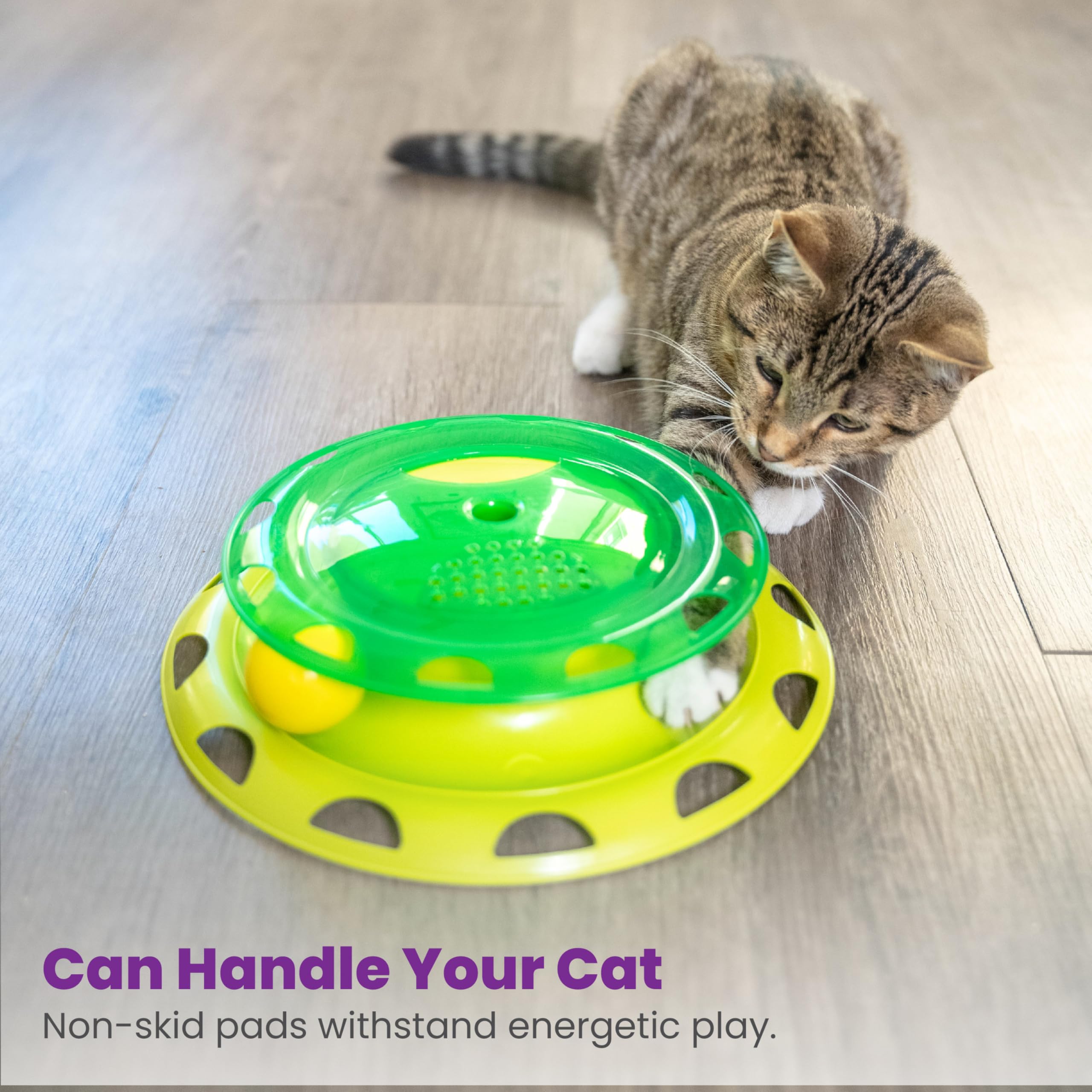 Petstages Catnip Chaser - Spielschiene - interaktives Katzenspielzeug - Grün