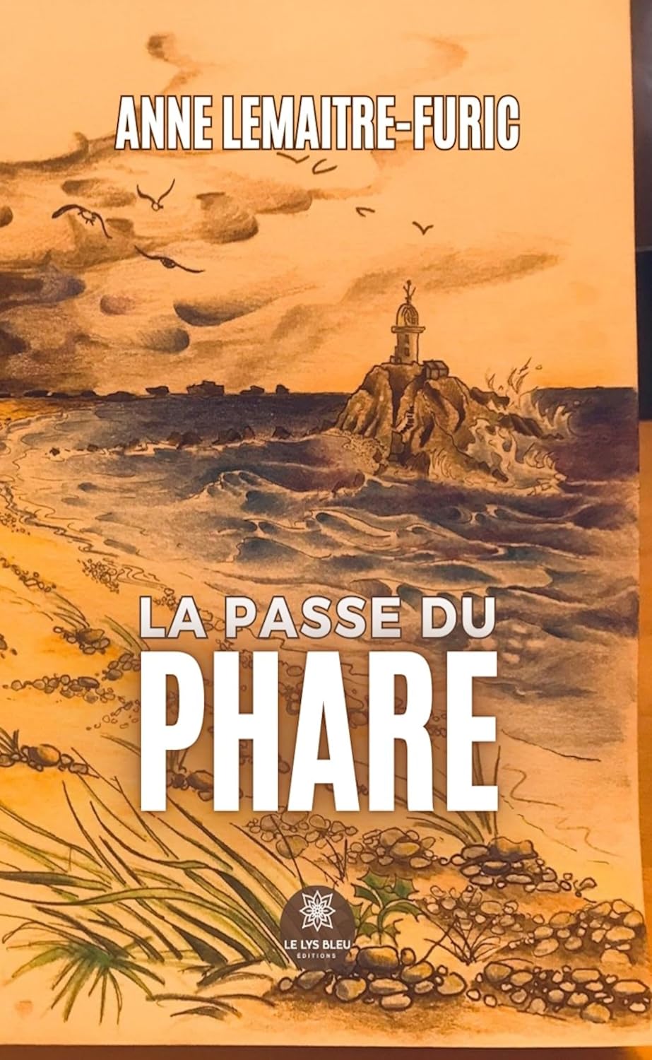 La passe du phare (French Edition)