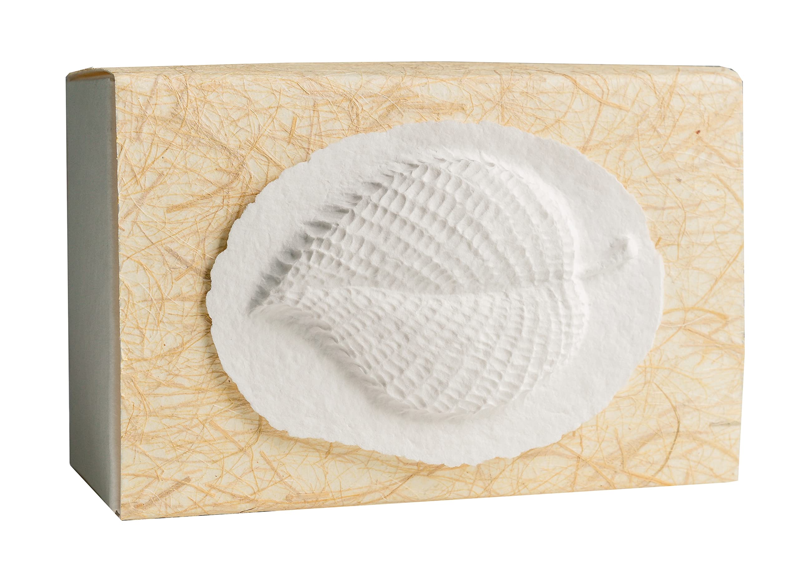 The Favorite Place® Burial Biodegradable Urn Box, (Large Leaf Urn Box), Biodegradable for Ground Burial, Scattering Cremated Ashes in Earth Friendly Eco Urn, (Natural Golden Grass with Leaf) — image 1