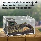 Ver la foto 7