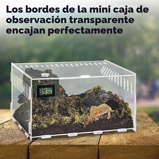 Foto 7 de 7 de GOEDCH Terrario para Reptiles: 20 x 12 x 12 cm Comedero para Reptiles con Higrómetro de Temperatura