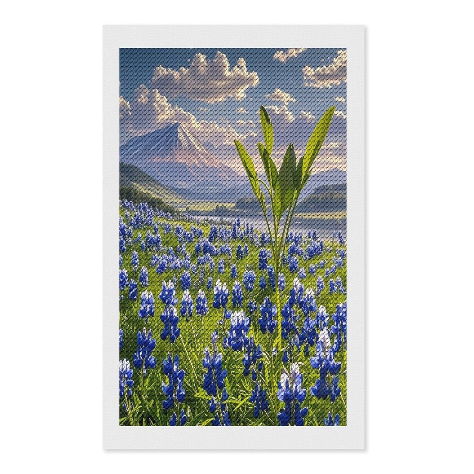 FekiLoot Bluebonnets Scenery Diamond Painting Kits for Adults Full Round Drill Diamond Art Kits for Beginners 5D DIY Diamond Dots Paintings Diamonds Pictures Gem Art Home Wall Decor 12"x20"