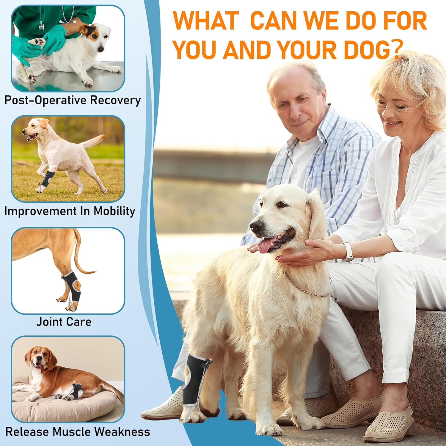 Supet Knuckling Brace for Dogs, Comfortable Foot Splint, Ankle Brace Back Leg for Toe Dragging Cause by Myelopathy, Sciatic Nerve Insufficiency & Herniated Disc, Black M