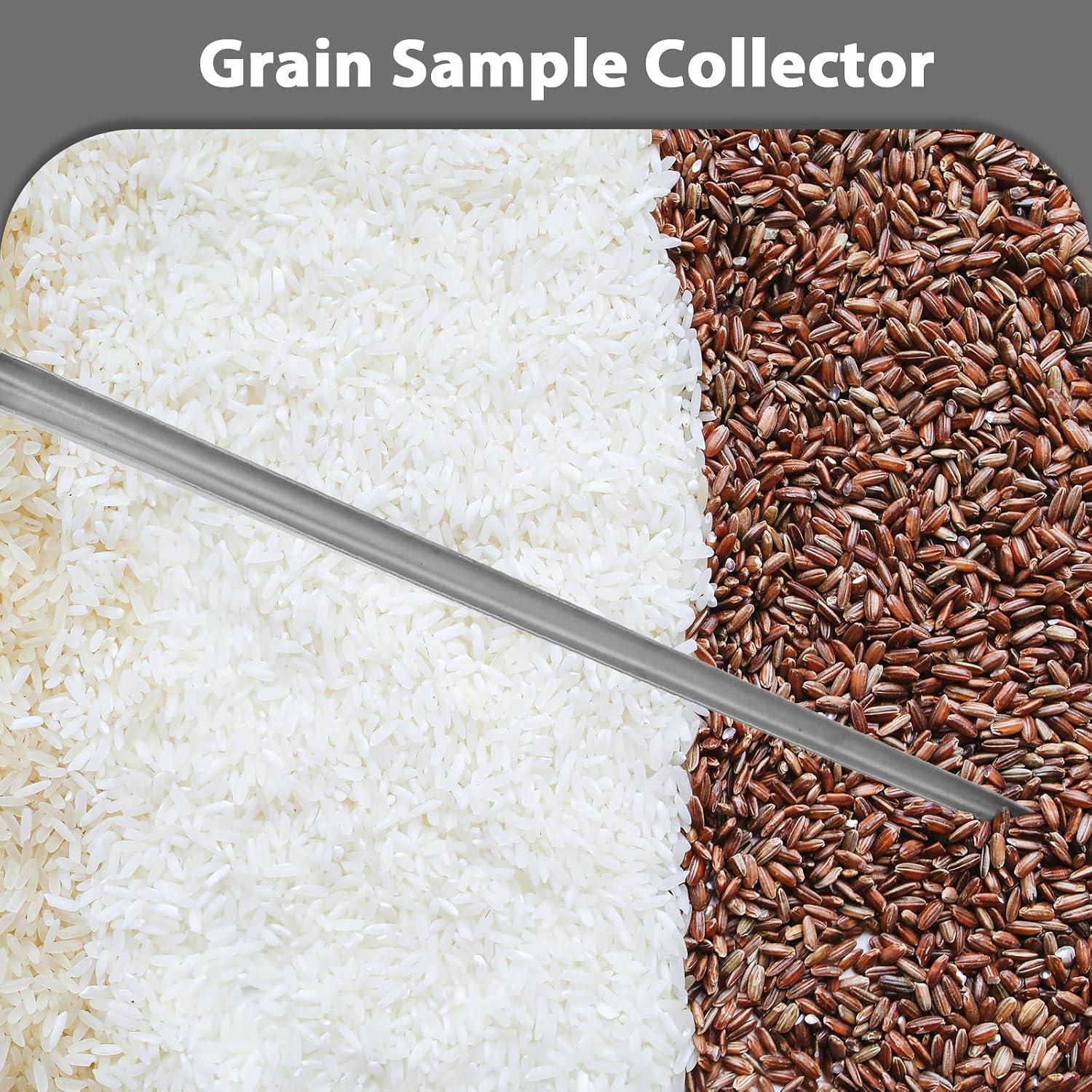 WOONEKY Grain Sampler Probe with Ergonomic Wooden Handle Stainless Steel 304 for Accurate Sampling of Wheat and Grain in Food Processing and Laboratory Use