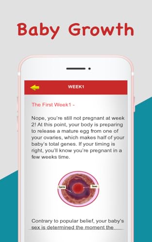 Pregnancy Baby Care for Safe Delivery