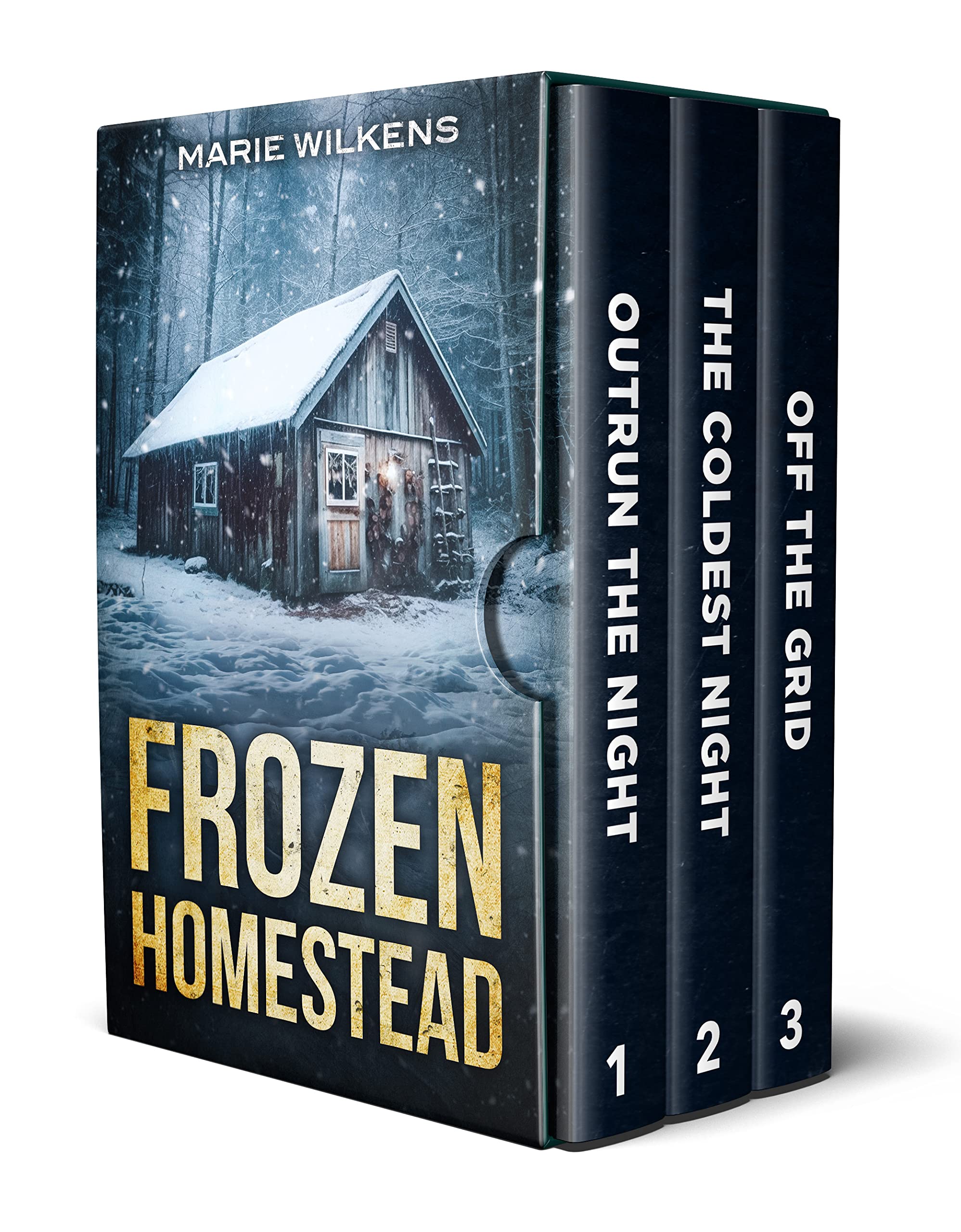 Frozen Homestead: A Small Town Post Apocalypse EMP Thriller Boxset