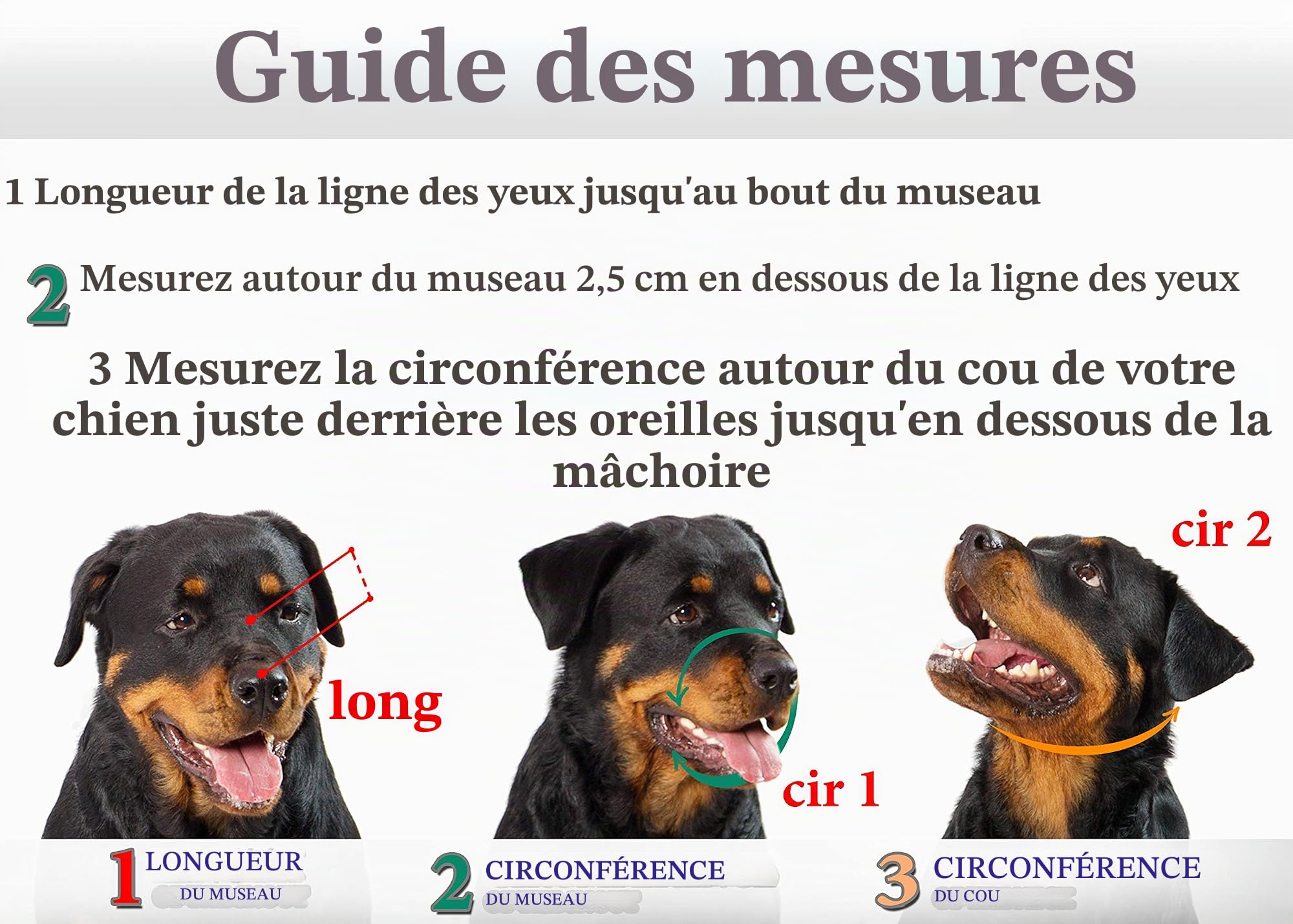 Muselière en métal pour Chien Rottweiler № 3 Fils Panier réglable en Cuir Sangles en Cuir réglable Circonférence 27-38,1 cm Longueur 2,7 x 3,4 cm