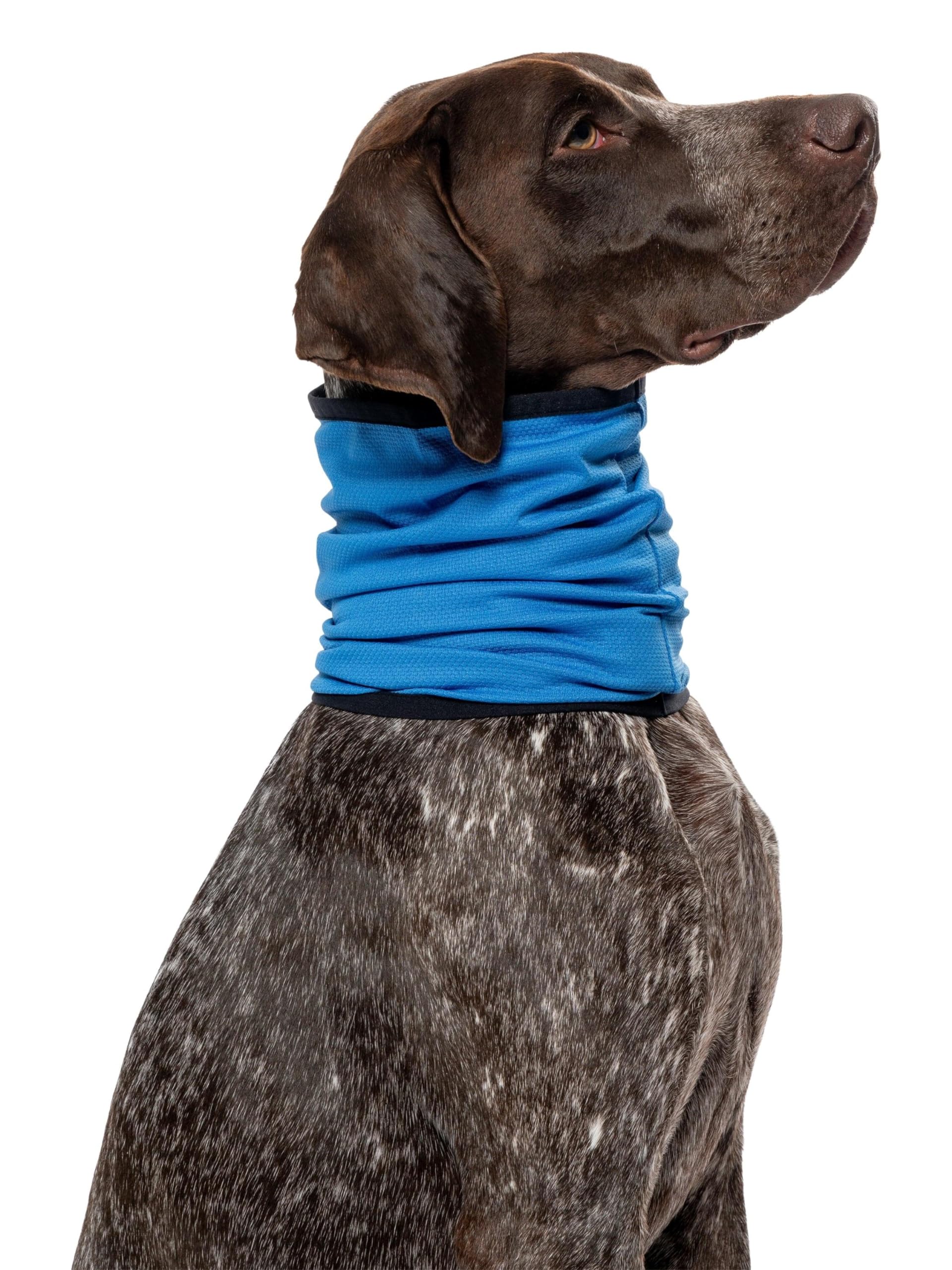 Insect Shield Pet Breathable Cooling Gaiter with Built in Bug and Tick Protection, Lake, Large