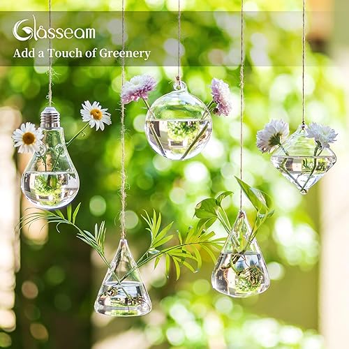 Miniatura 2 de Glasseam Macetas colgantes terrario de cristal: 5 estaciones modernas de propagación de plantas, jarrones hidropónicos de pared para plantas de