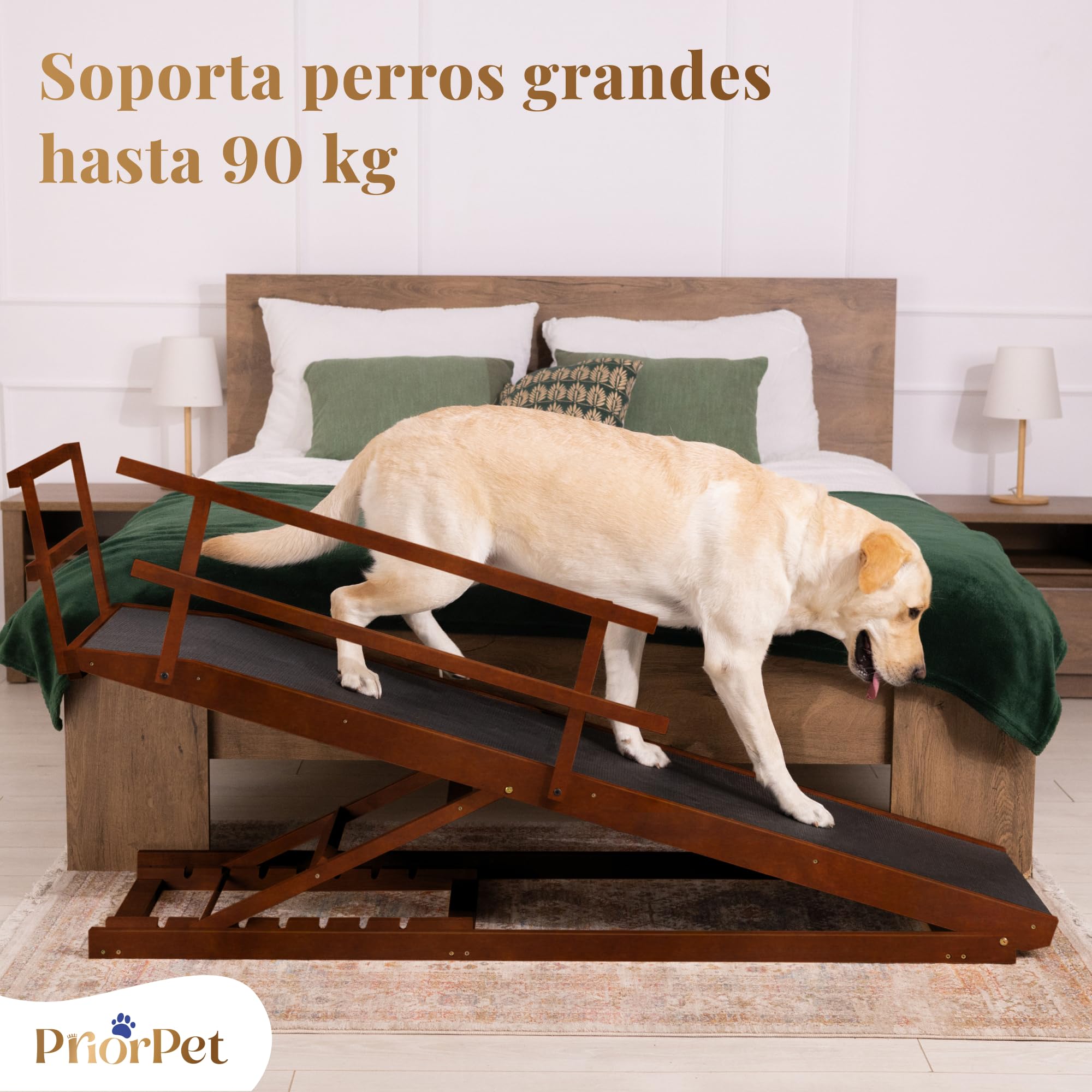 Rampa para Perros Cama con Rieles de Seguridad para Perros Grandes – para Camas Altas de hasta 94,5 cm – Soporta hasta 90 kg – Ancho 49,5 cm – Plegable, Antideslizante – Madera de Abedul – Nuez