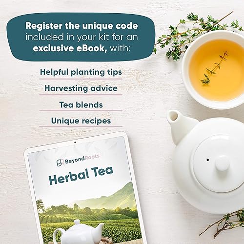 Miniatura 5 de Paquete variado de semillas de té de hierbas, 10 paquetes de semillas de hierbas medicinales, semillas de hierbas orgánicas certificadas sin OMG,