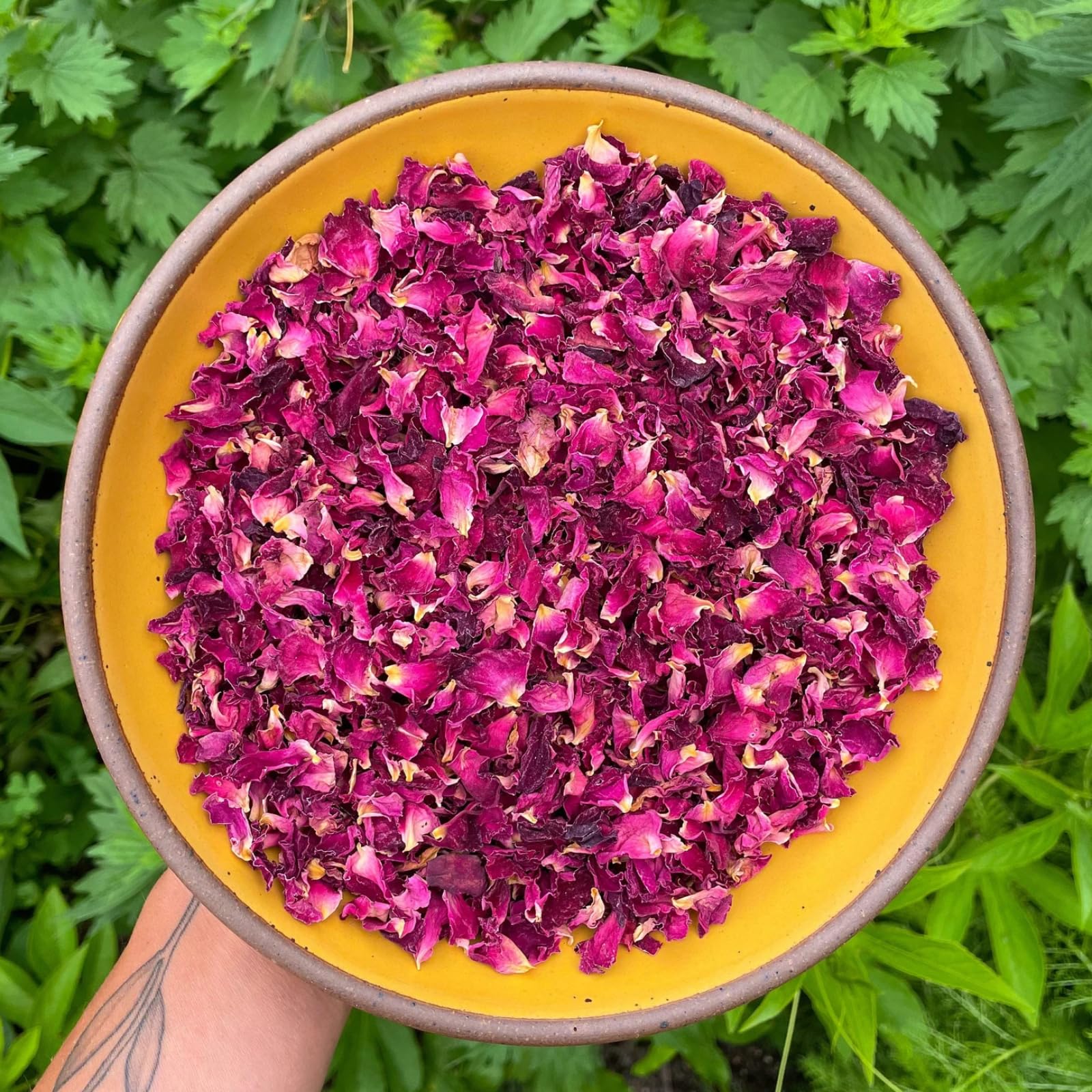 Fangkic Edible Rose Petals 1oz (28g) – Dried Rose Petals & Dried Edible Flowers for Cakes & Dessert Decorating, Cocktails & Drinks, Tea, Soap and