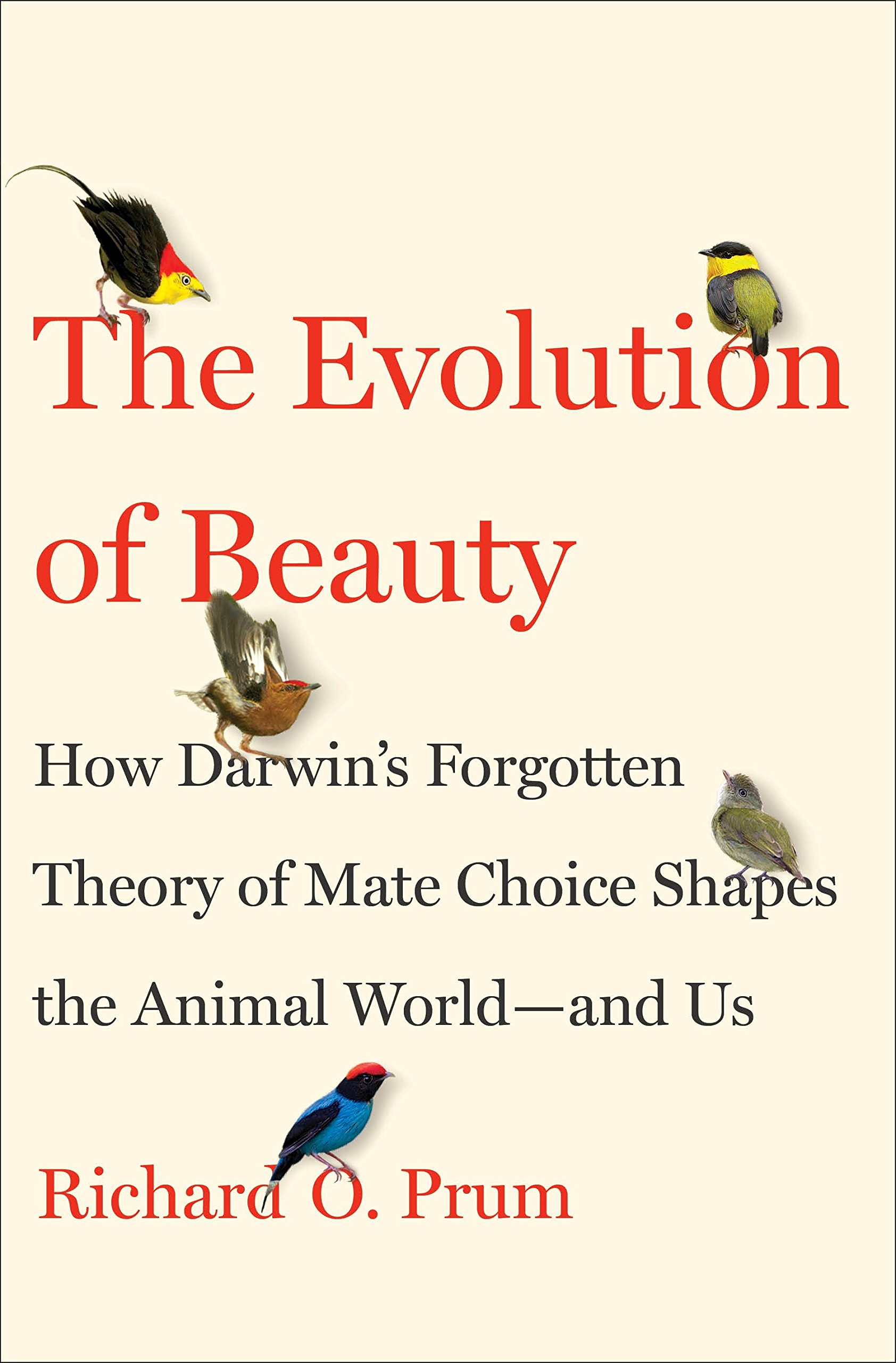 Amazon.fr - The Evolution of Beauty: How Darwin's Forgotten Theory of Mate  Choice Shapes the Animal World - and Us - Prum, Richard O. - Livres