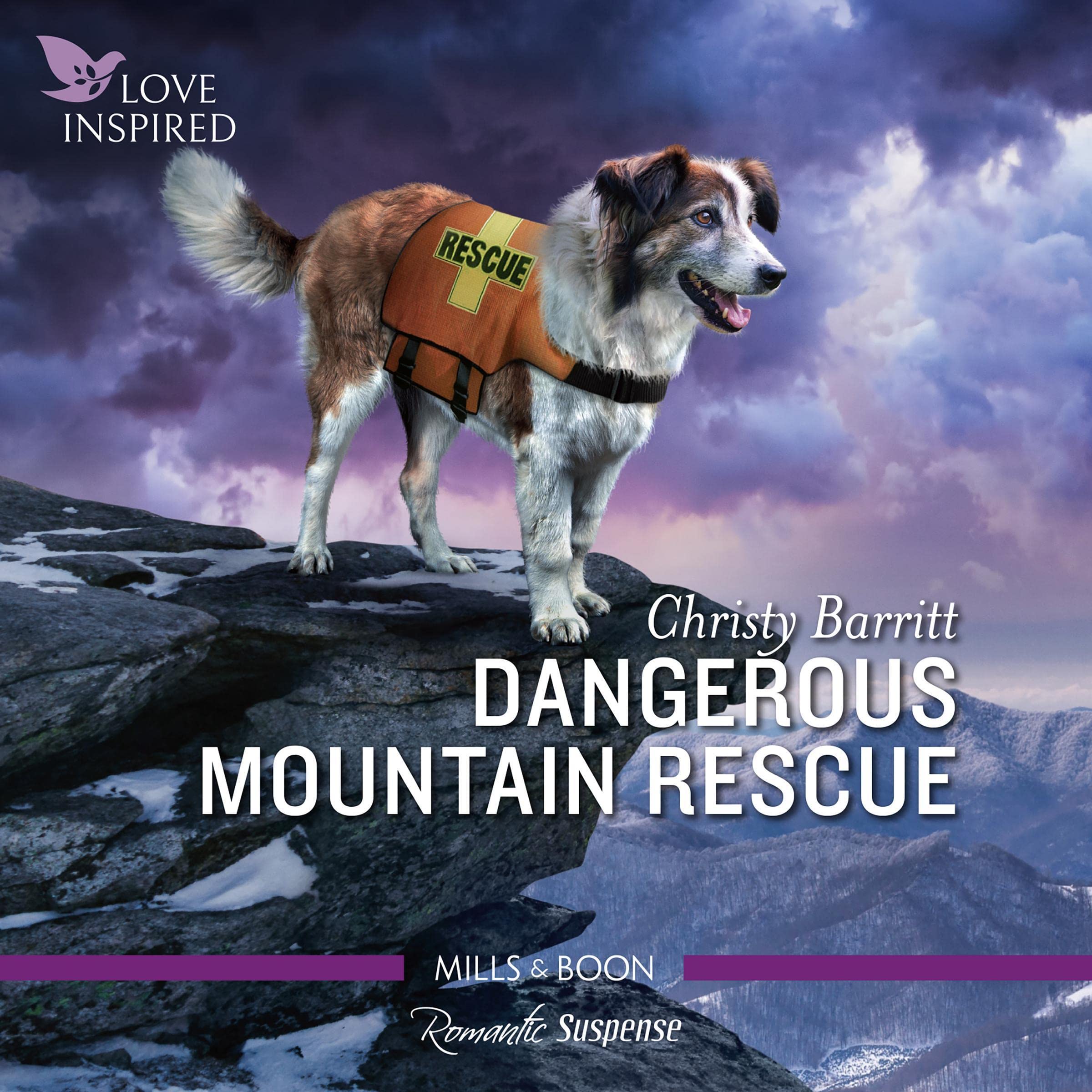 Cover art for Dangerous Mountain Rescue