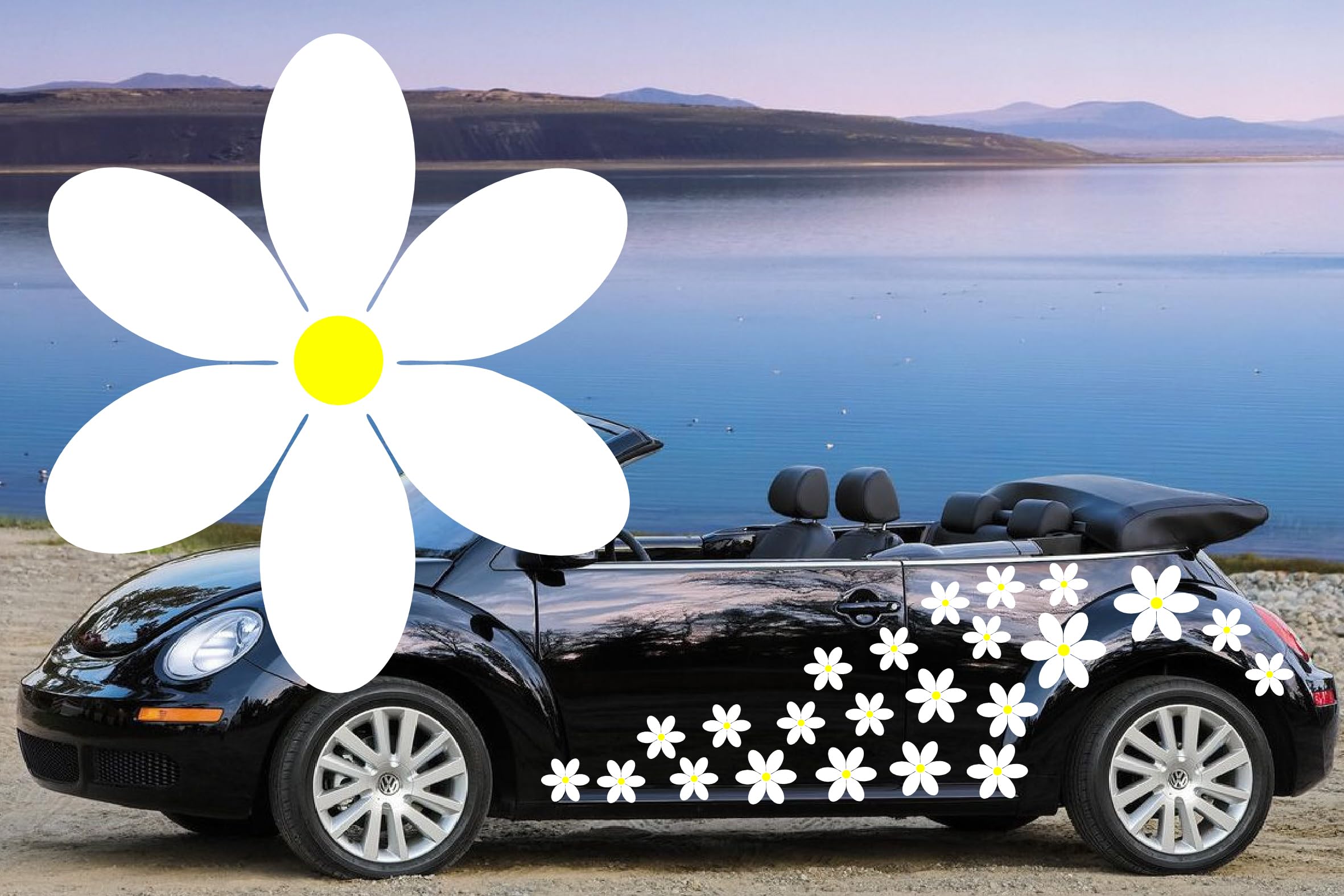 32 White & Yellow Six Petal Daisy Flower Decals, car Decal Flower Graphics, Camper Van Sticker Decals, car Stickers in 3 Sizes by TEEZ