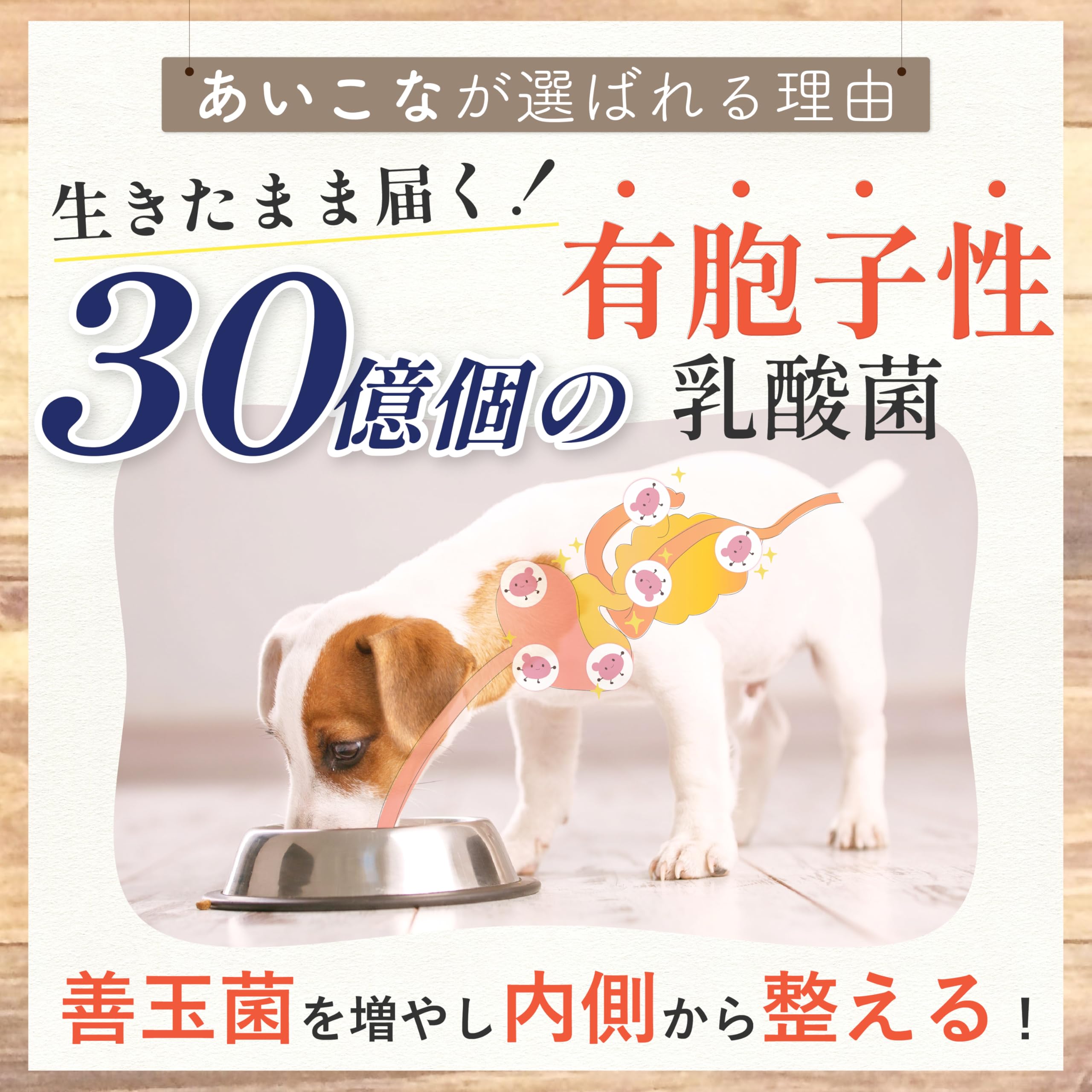 Amazon.co.jp: 【獣医師監修】 aikona あいこな 犬 サプリ 腸活 腸内