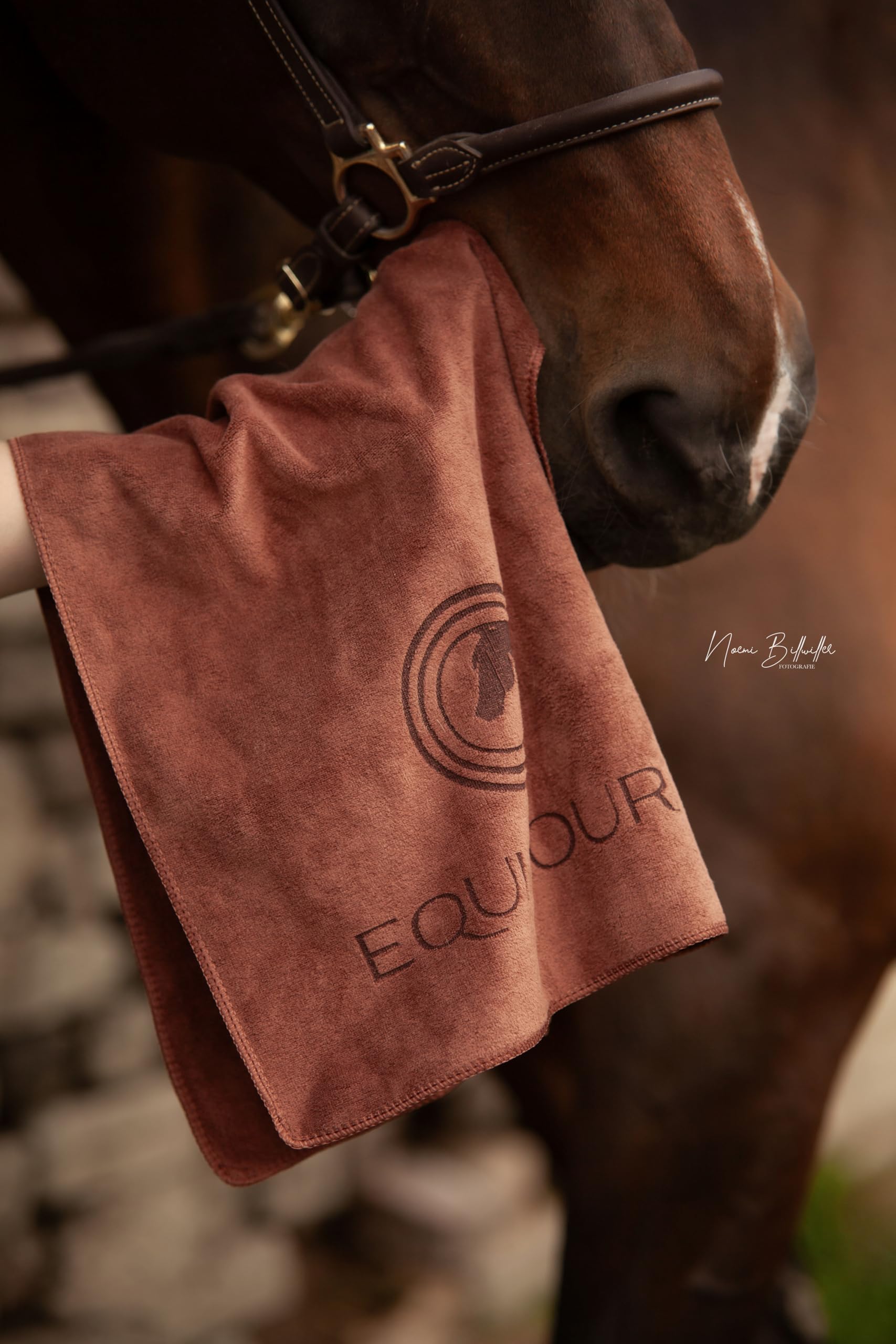 Pack of 3 Microfibre Towels for Horses and Dogs, Absorbent, Quick Drying & Extra Soft - Image 2