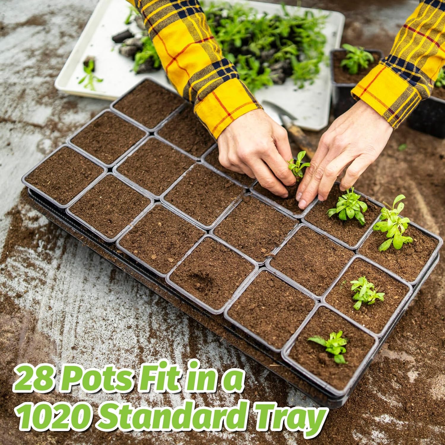 SUNPRO 100Pcs Square Nursery Pots 2.6 Inch Flexible Plastic Seedling Pots Small Plant Pot Thick Seed Starter Pot for Plants, Succulent, Flower with 60Pcs Plant Labels - Image 5