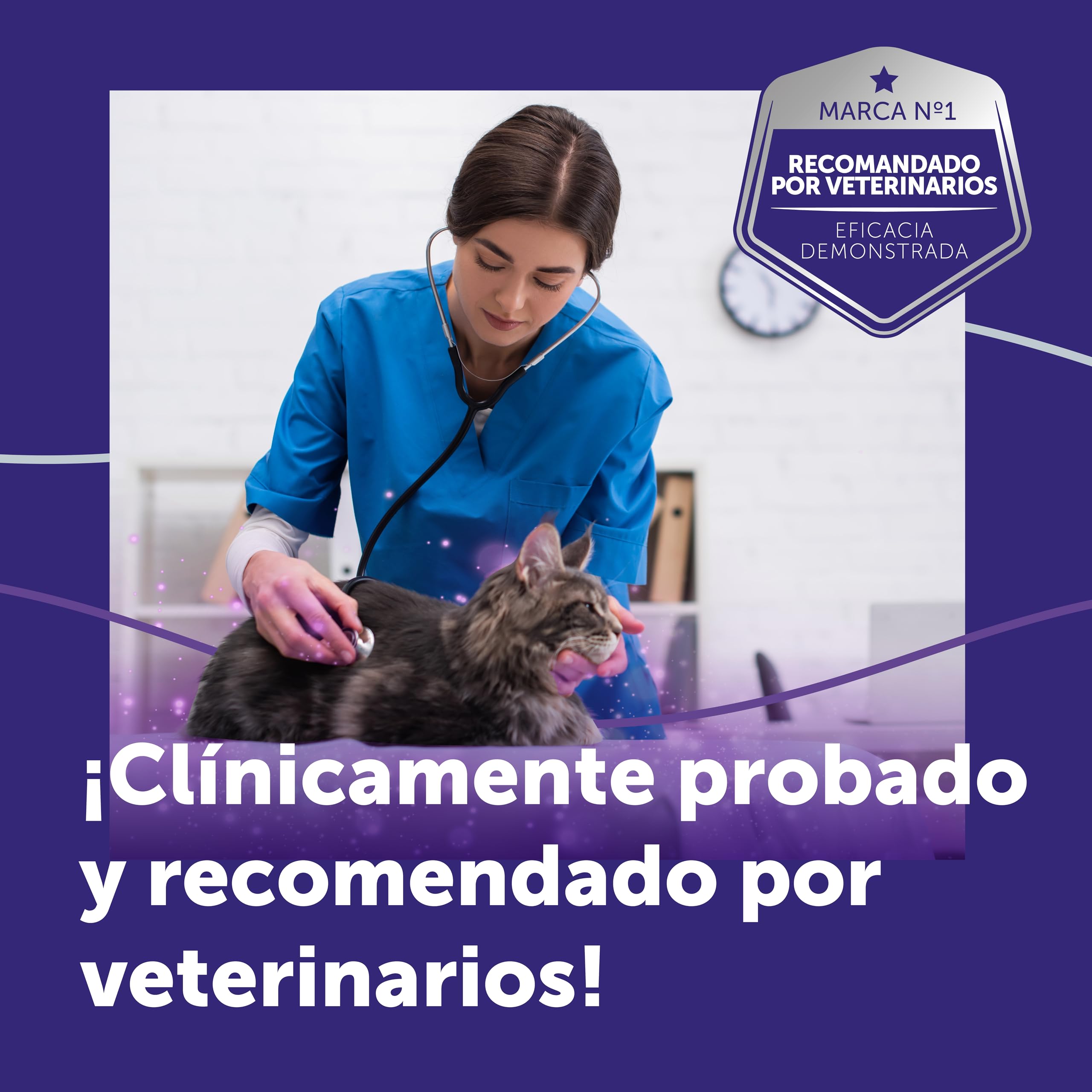 FELIWAY Optimum - Recambio de feromonas calmantes para gatos (30 días, 48mililitro) - Ayuda a reducir los signos más comunes de estrés. Recomendado por veterinarios. La mejor tranquilidad.