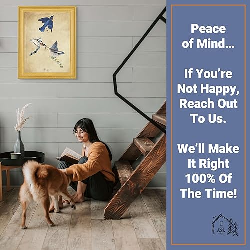 Vista 86 de Towee Bunting by James Audubon - Marco biselado negro de 12 x 16 pulgadas, decoración artística enmarcada para pared, reproducción de pinturas