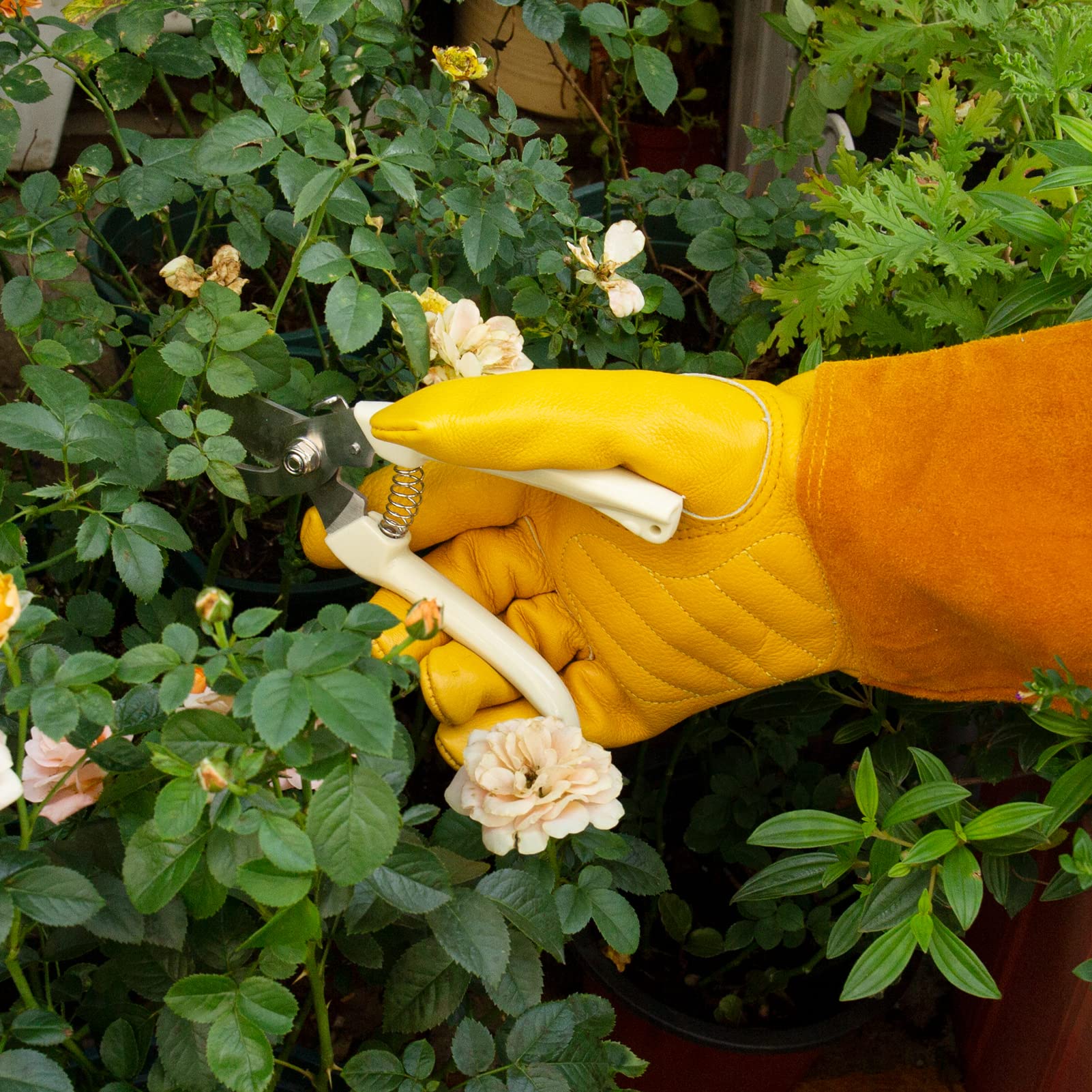 Acdyion Guanti da giardinaggio per donne/uomini Rose potatura spina e guanto da giardino a prova di taglio