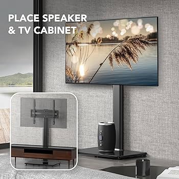 Amazon.com: AX WABER Universal TV Floor Stand with Mount for 27 to