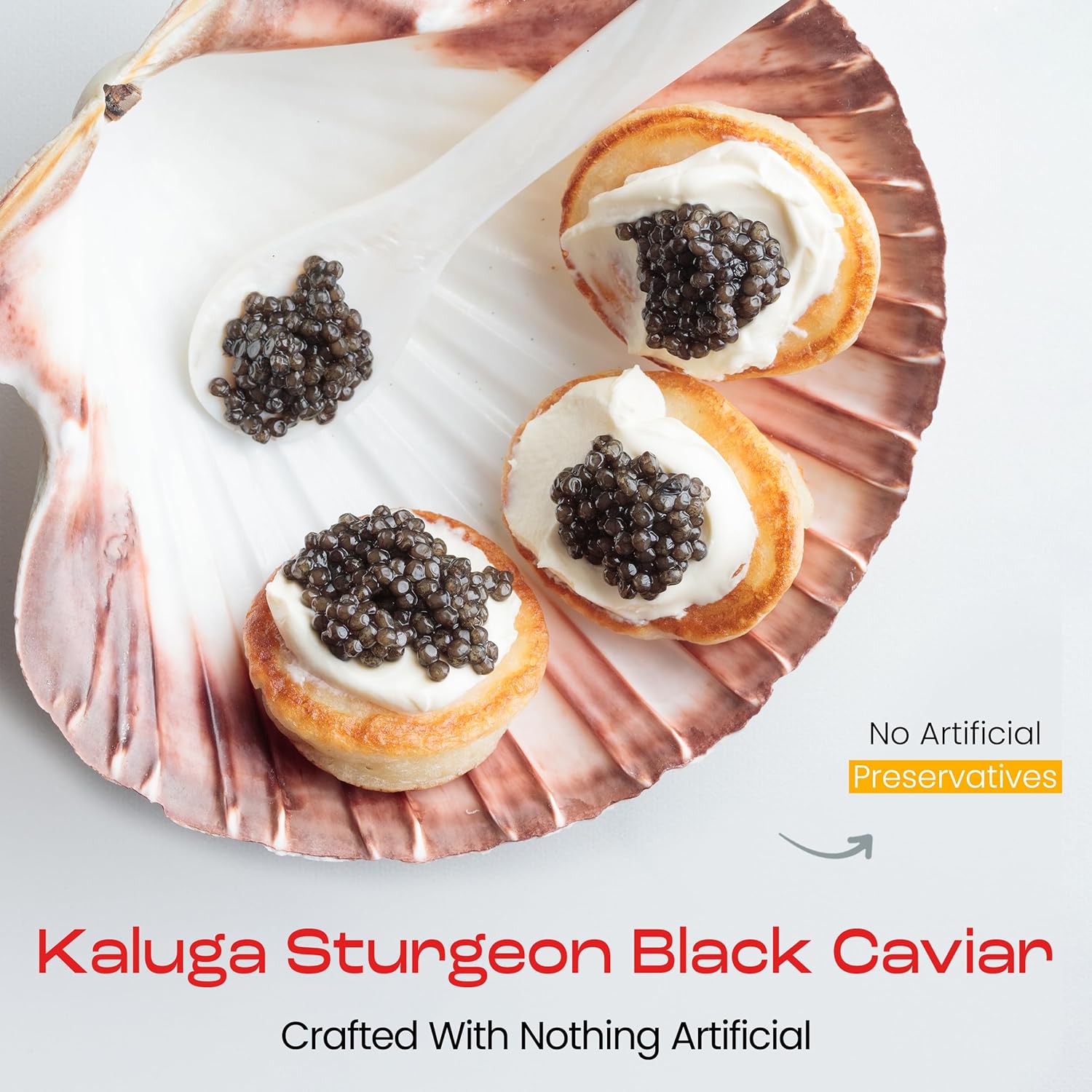 OVERNIGHT SHIPPING- OLMA Kaluga Sturgeon Black Caviar - Large Pearly Grains, Smooth Flavor, Superior Grade - 1 oz / 28 g