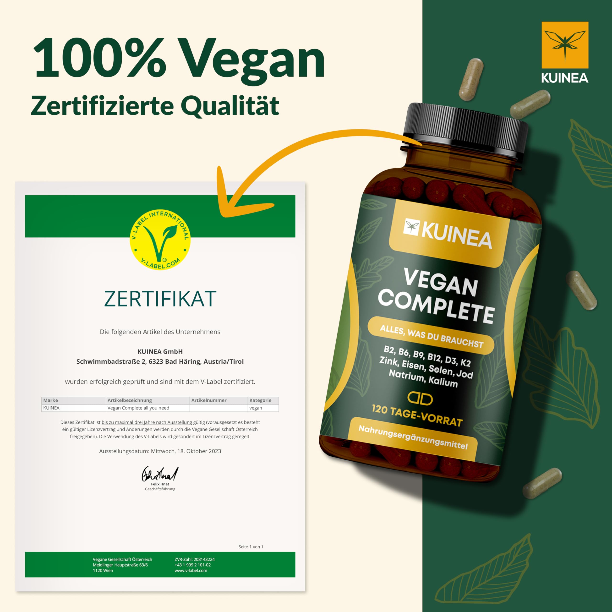 2x 120 Kapseln Vegan Complex - All in one Vitamine I 8-MONATS-VORRAT I Vitamin B12 Vegan+D3+K2+B2+B9+B6 + Zink + Eisen + Selen + Jod + Natrium + Kalium - Supplements