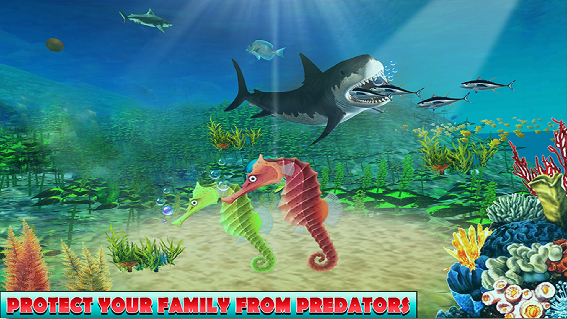 Seahorse Family Simulator App on Amazon Appstore