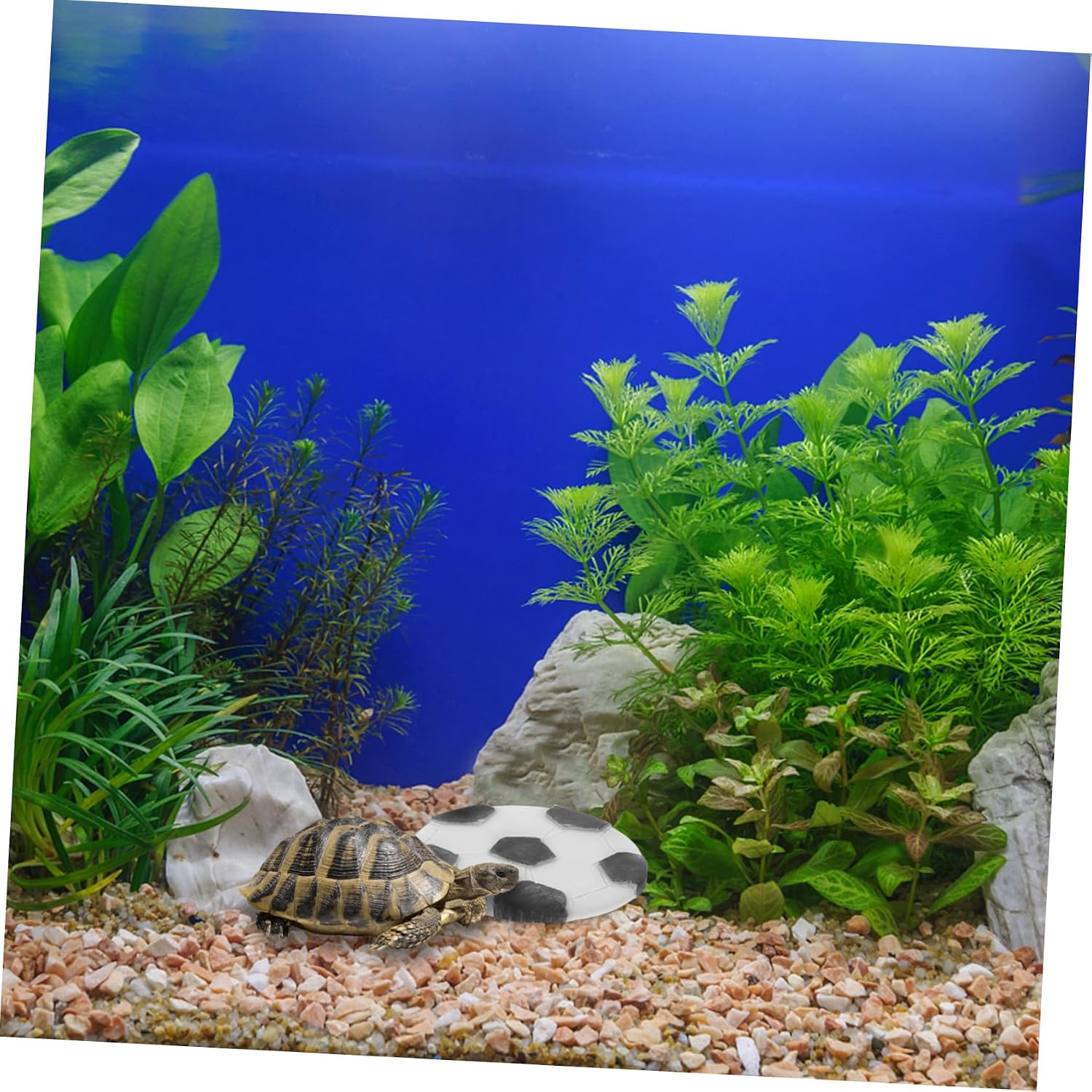 Resin Turtle Basking Platform Plate for Rest Area and Food Bowl