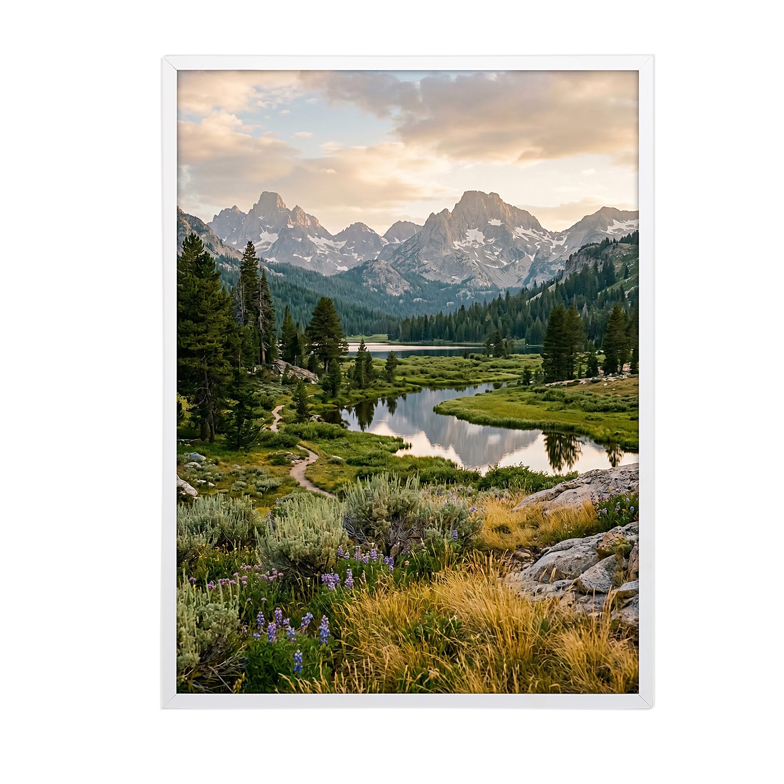 Ditwis 60x80 cm Frame Aluminium White