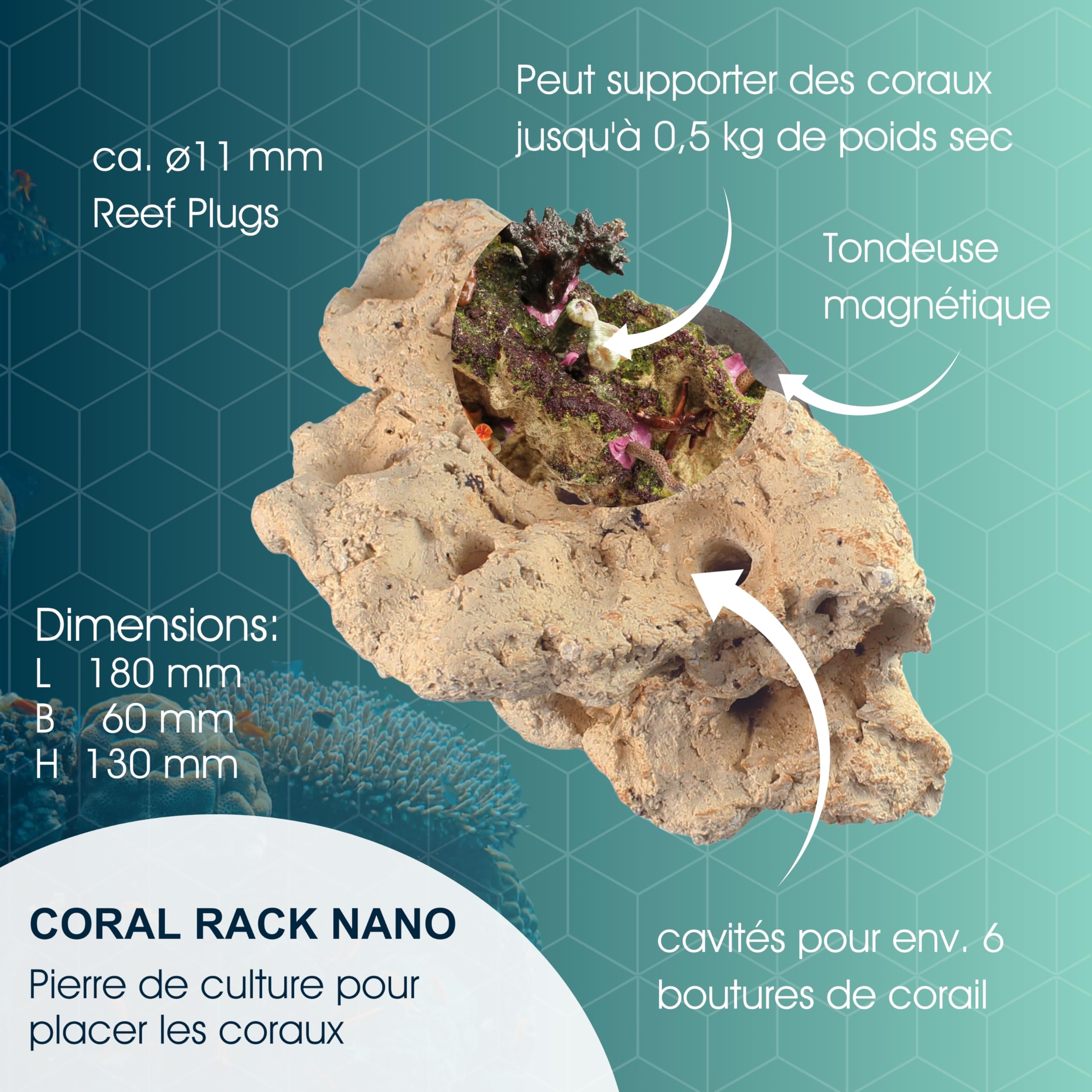 Tunze Coral Rack Nano Keramikstein Magnethalterung Aquarium-Deko Korallenaufzucht Süßwasser Meerwasser