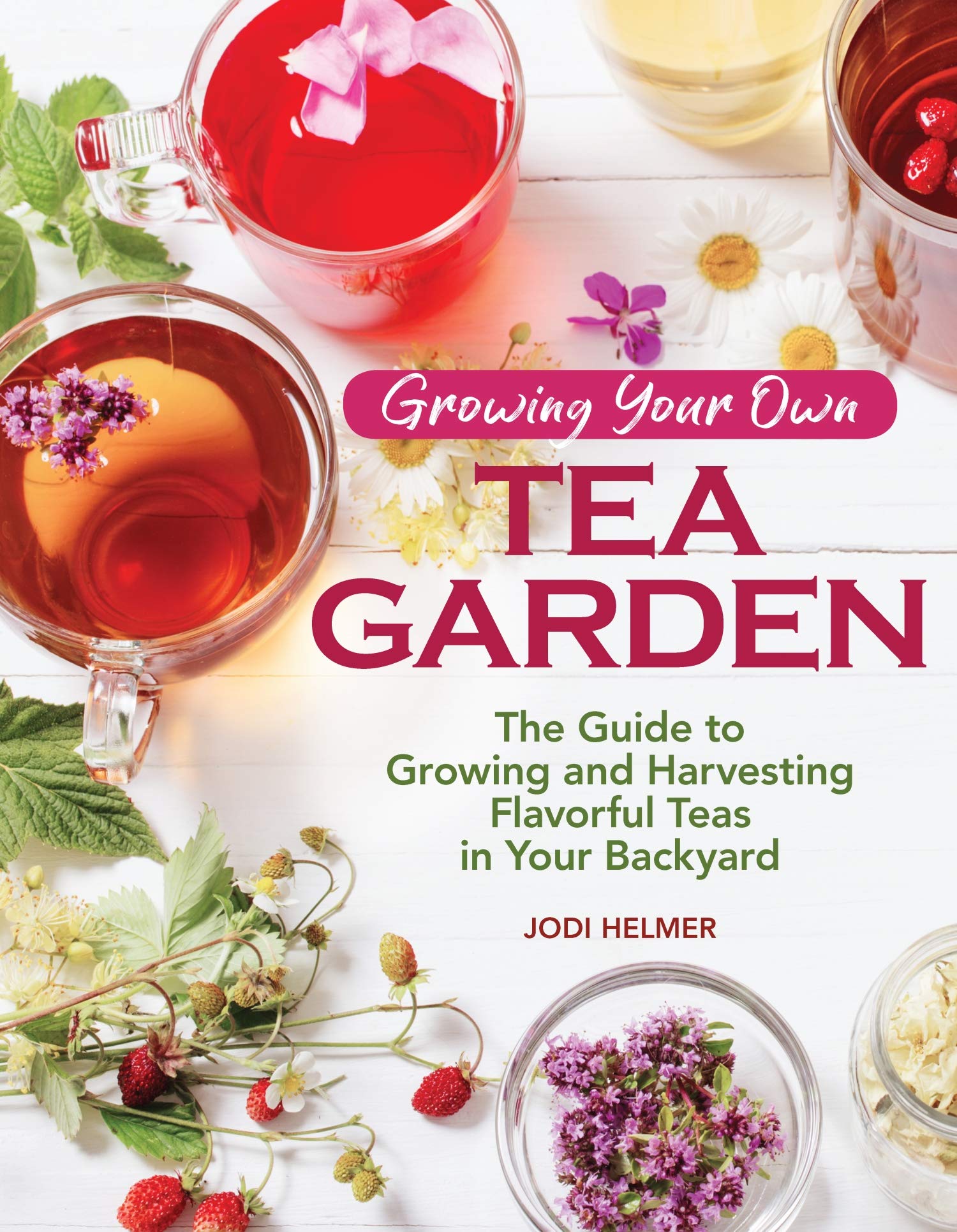 Fox Chapel Publishing Growing Your Own Tea Garden: Plants and Plans for Harvesting Traditional Herbal Teas