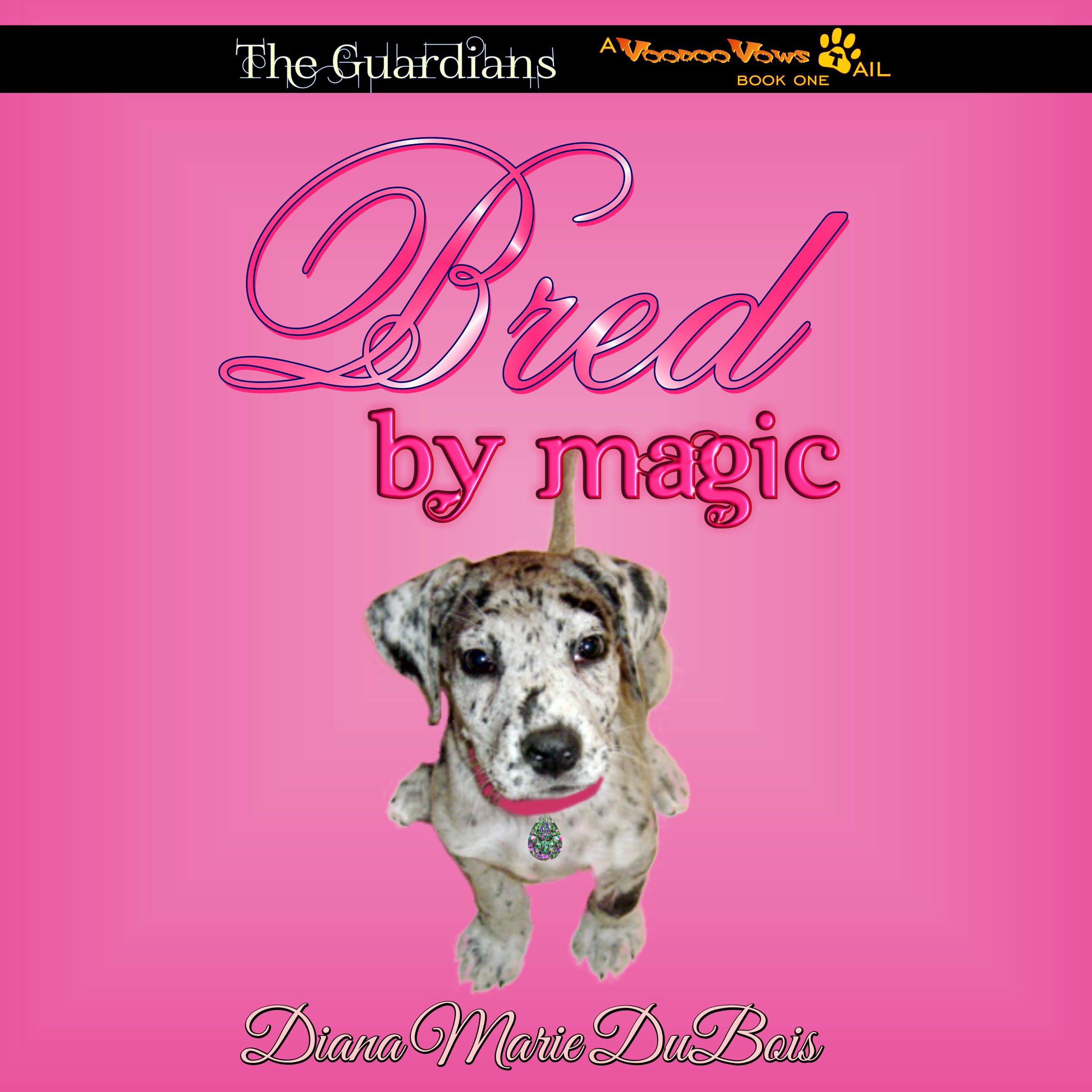 Cover art for Bred by Magic