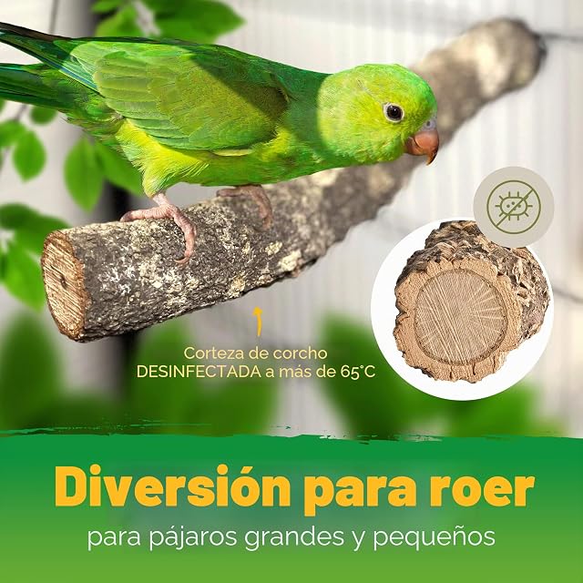 Foto 3 de 7 de Juego de 2 Corcho de pájaro de Barras de Asiento de Corteza de Corcho Natural. Sentarse. Asiento de Barra…