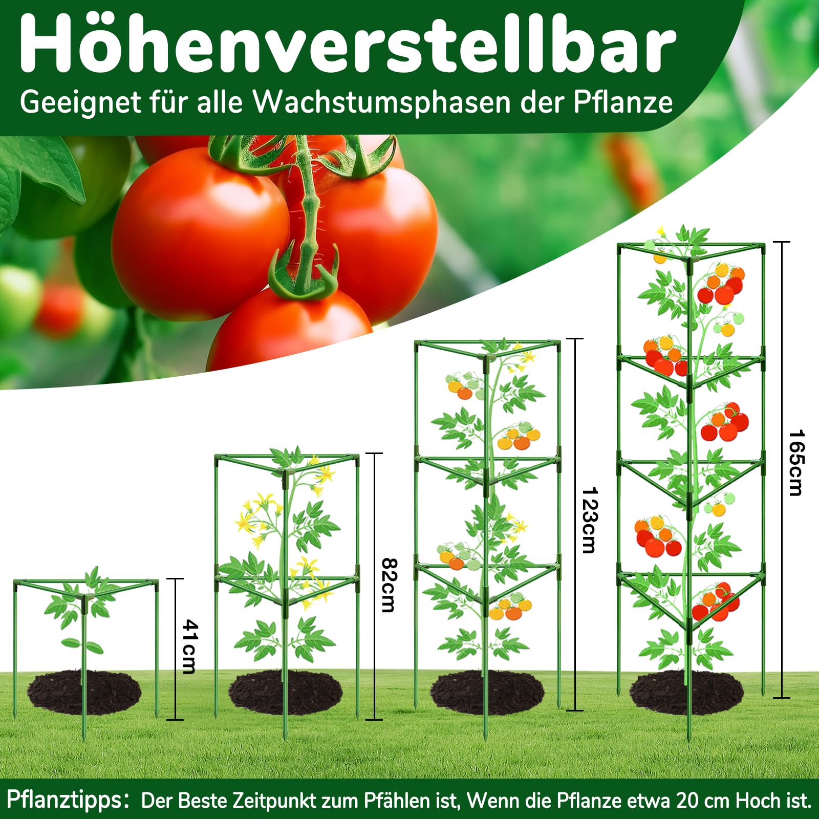 ZeeDix Tomaten Rankhilfe 6 Stück,165cm Stabile Pflanzen Rankhilfe