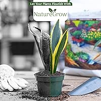 Vista 7 de Earth Worm Castings-10lb - Excrementos de Lombriz Orgánicos, Fertilizante para Plantas, Excrementos de Lombriz de Tierra - Excrementos de Lombriz