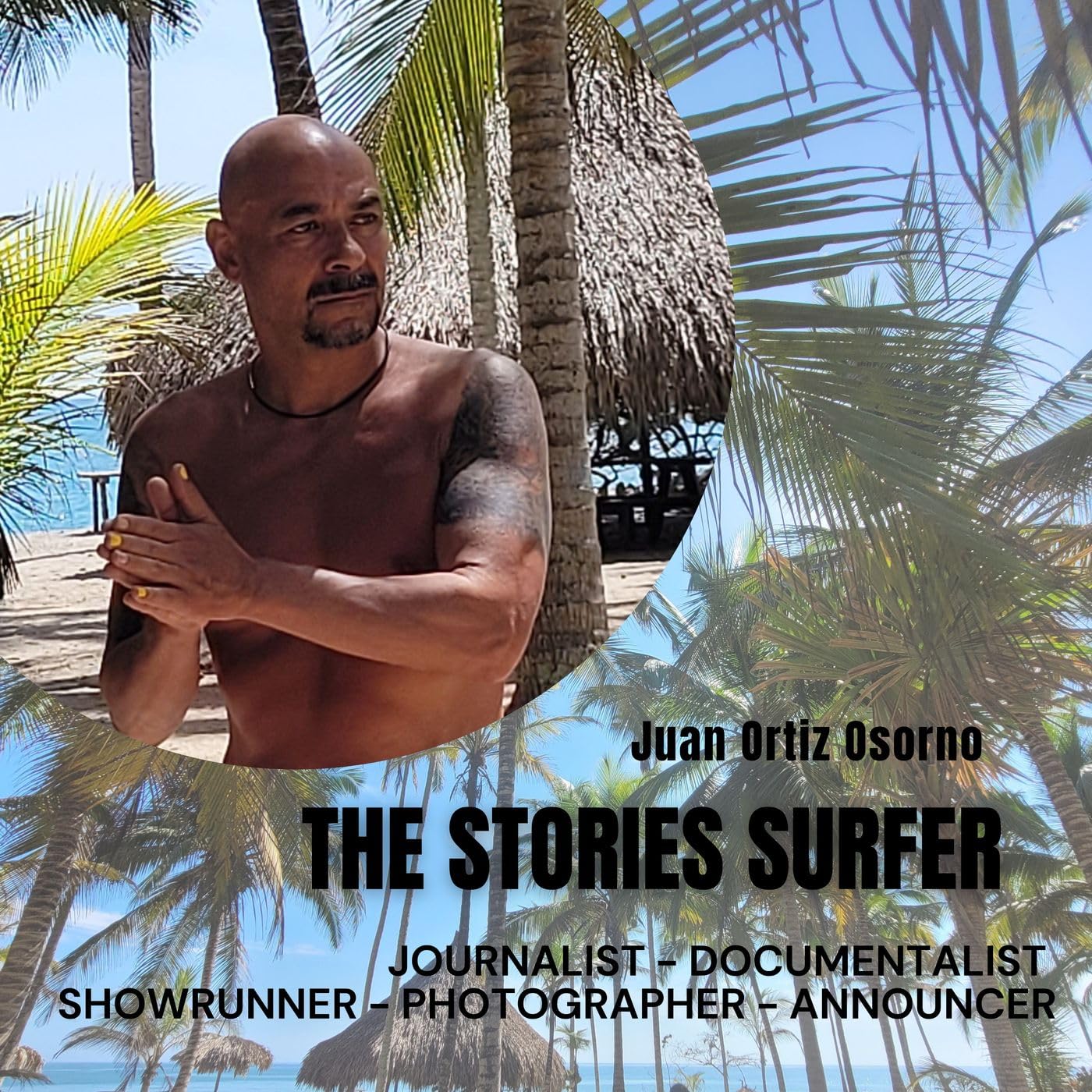 The Stories Surfer.